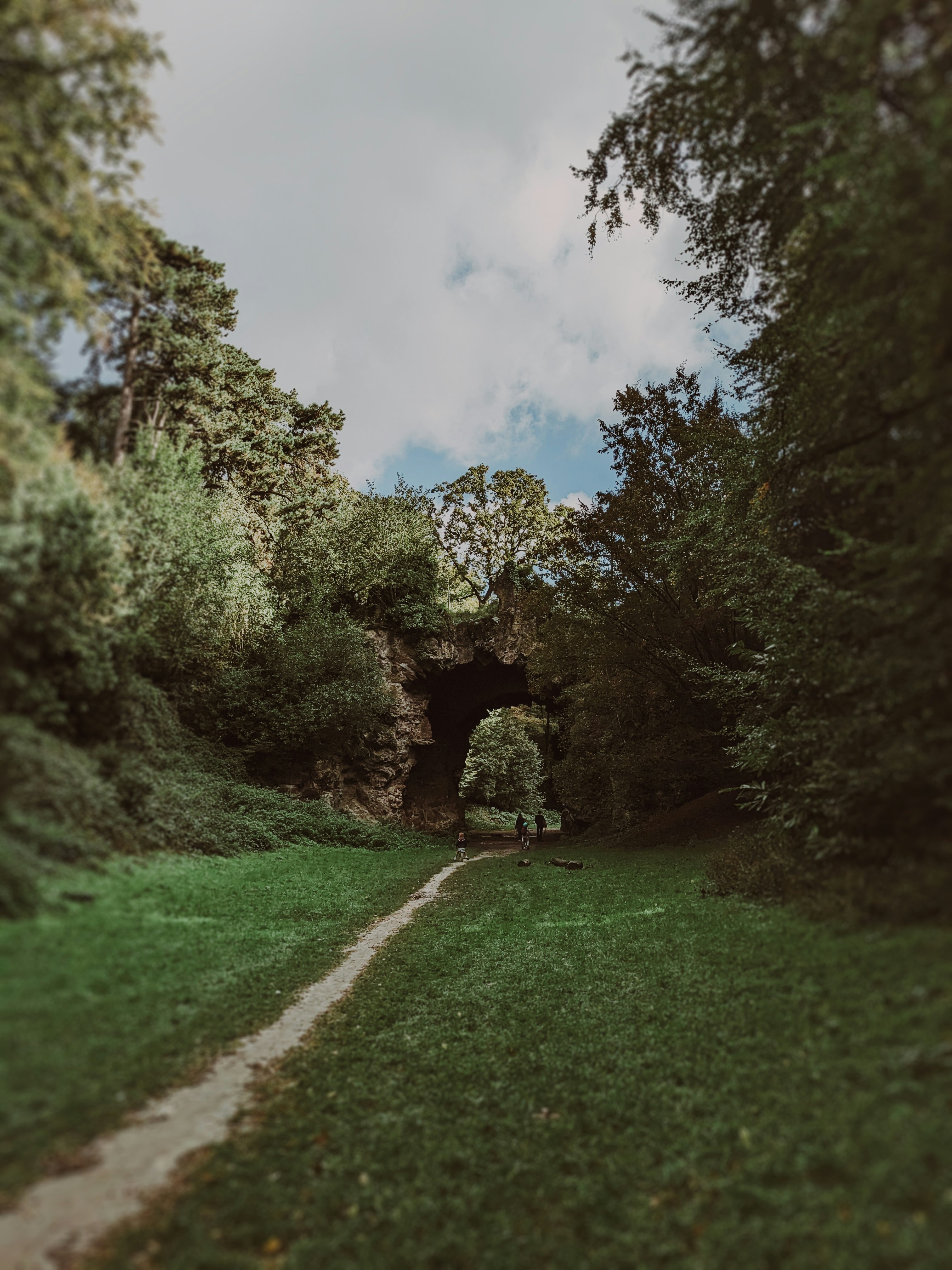 A path through a lush green forest under a cloudy sky photo – Free Bois ...