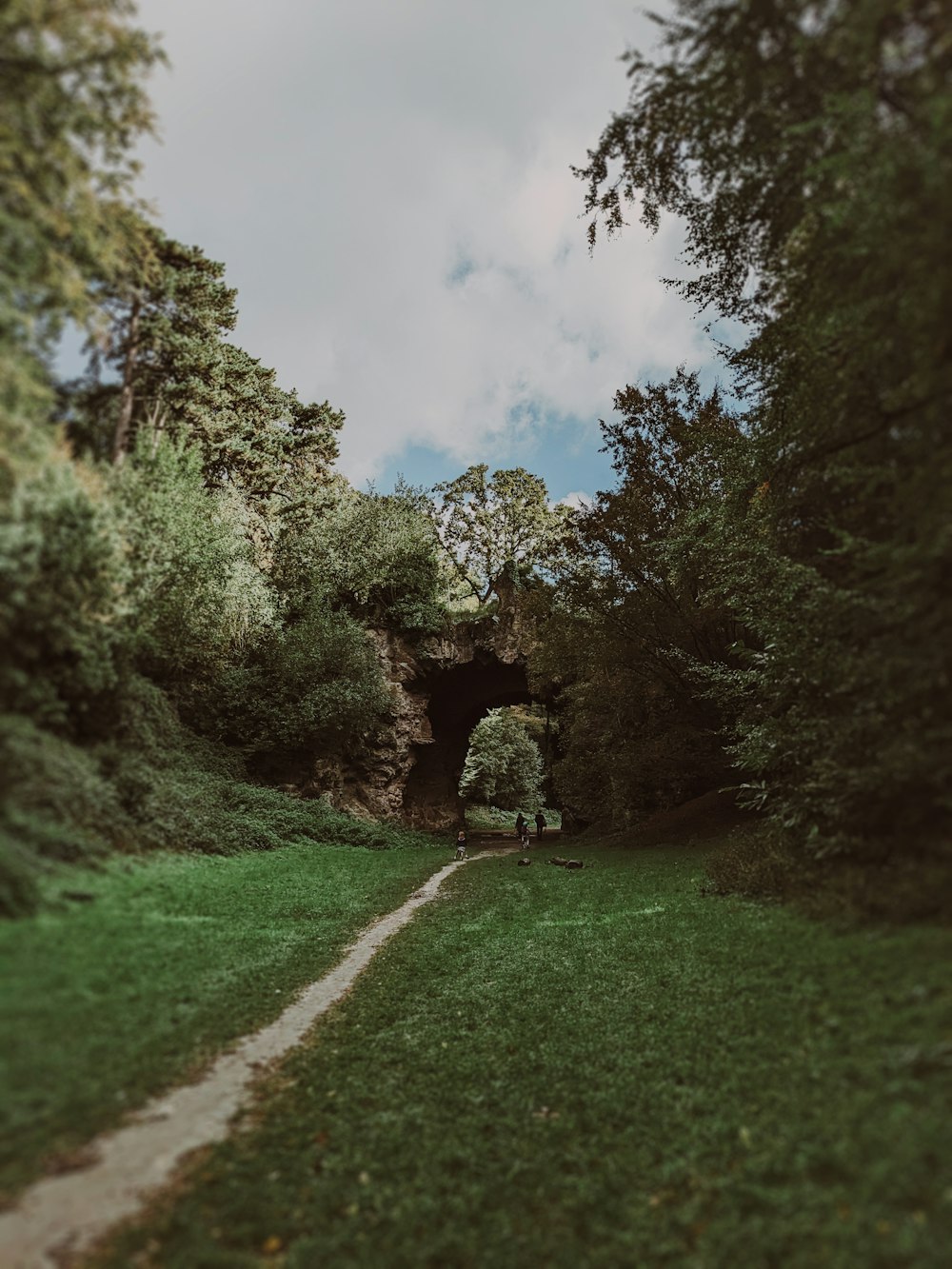a path through a lush green forest under a cloudy sky