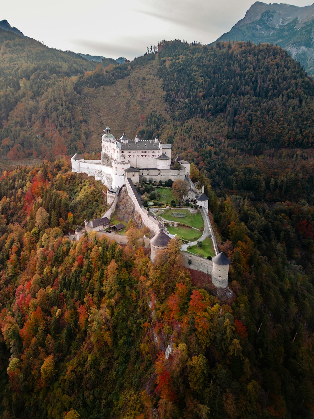 an aerial view of a castle surrounded by trees