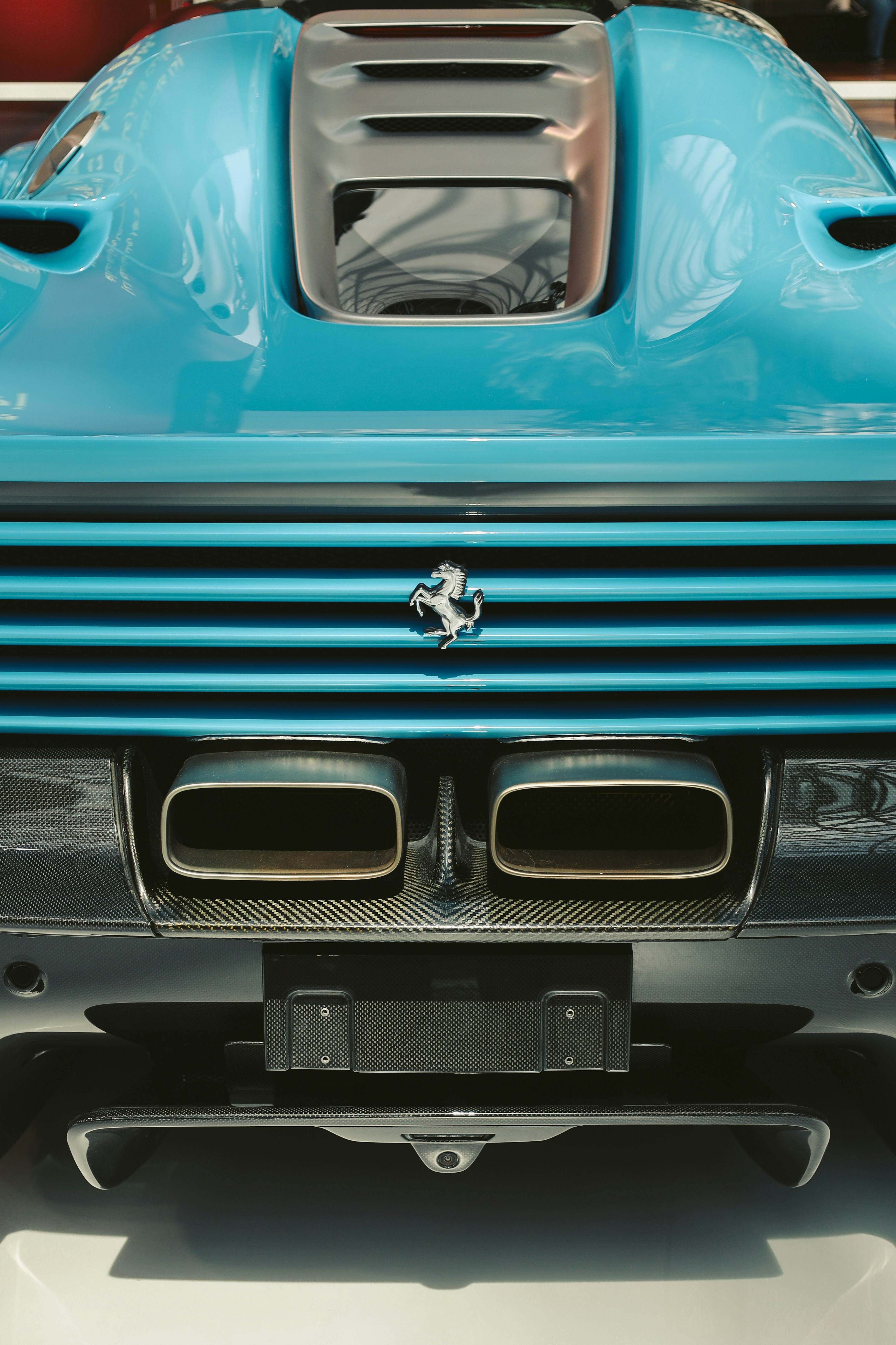 PetFoodCartagena logo