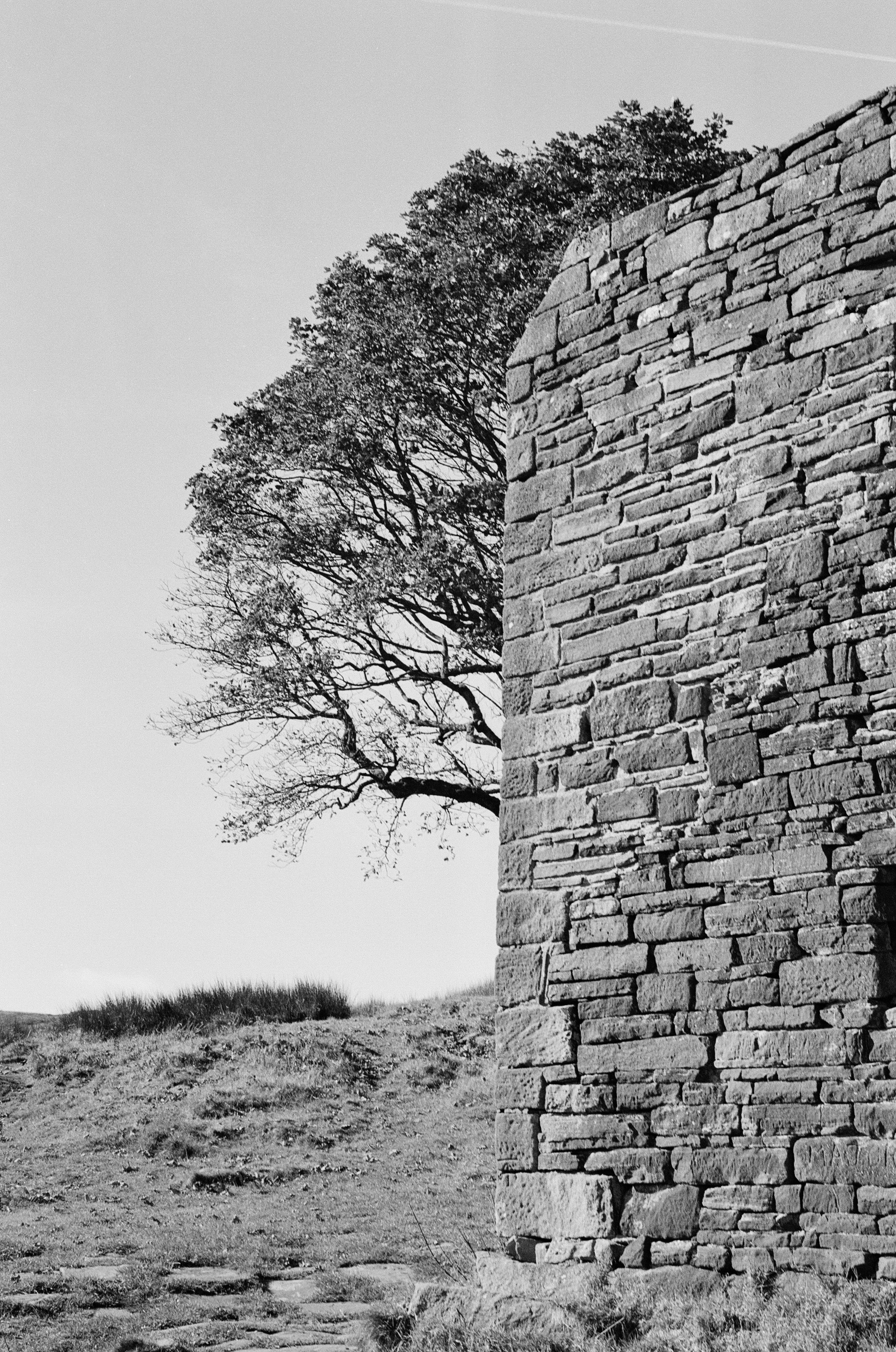 Photo by jazzbarker_