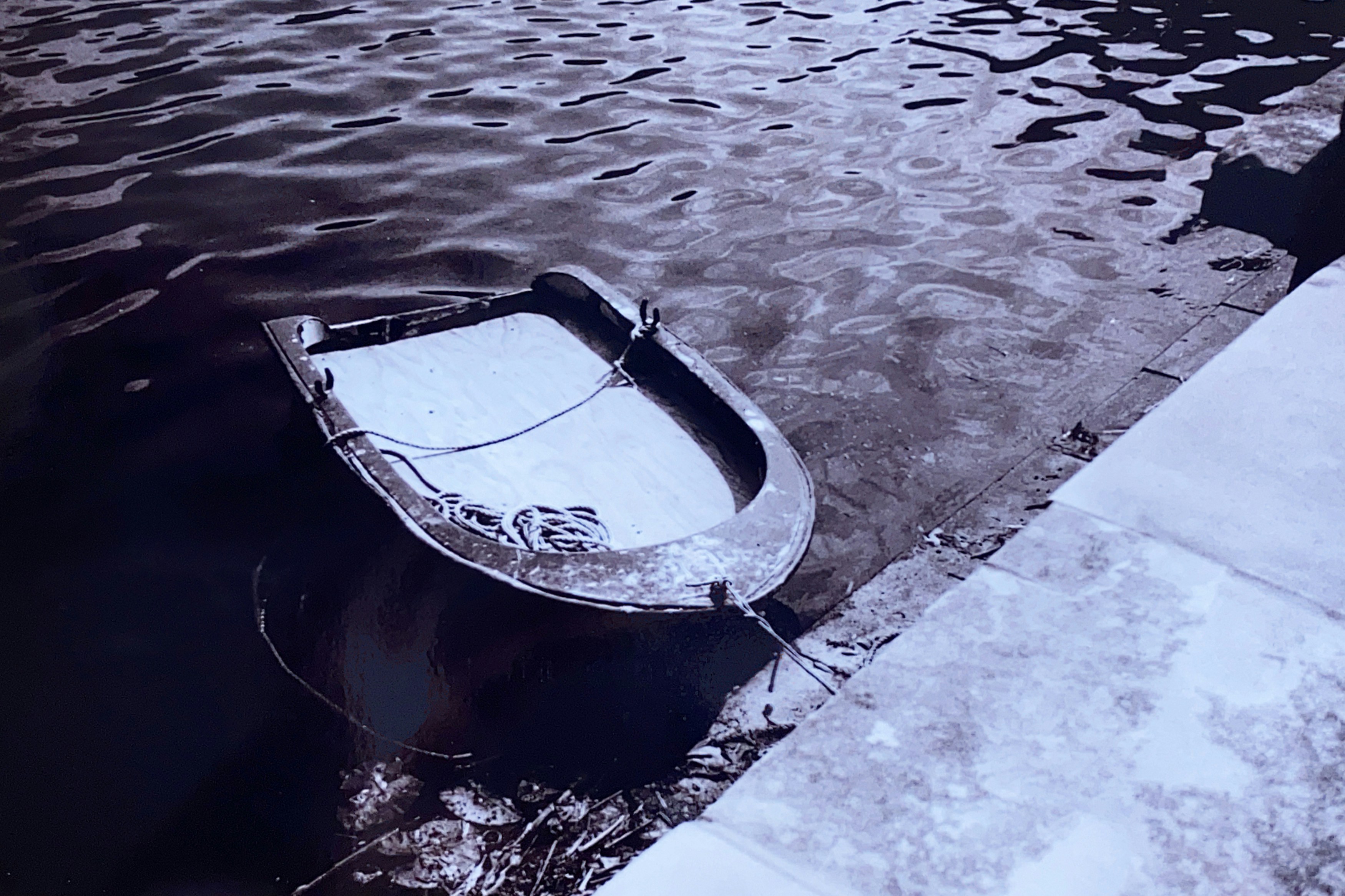 침수차 전손처리, 자연재해도 과실 100%로 잡히는 이유 완전 분석