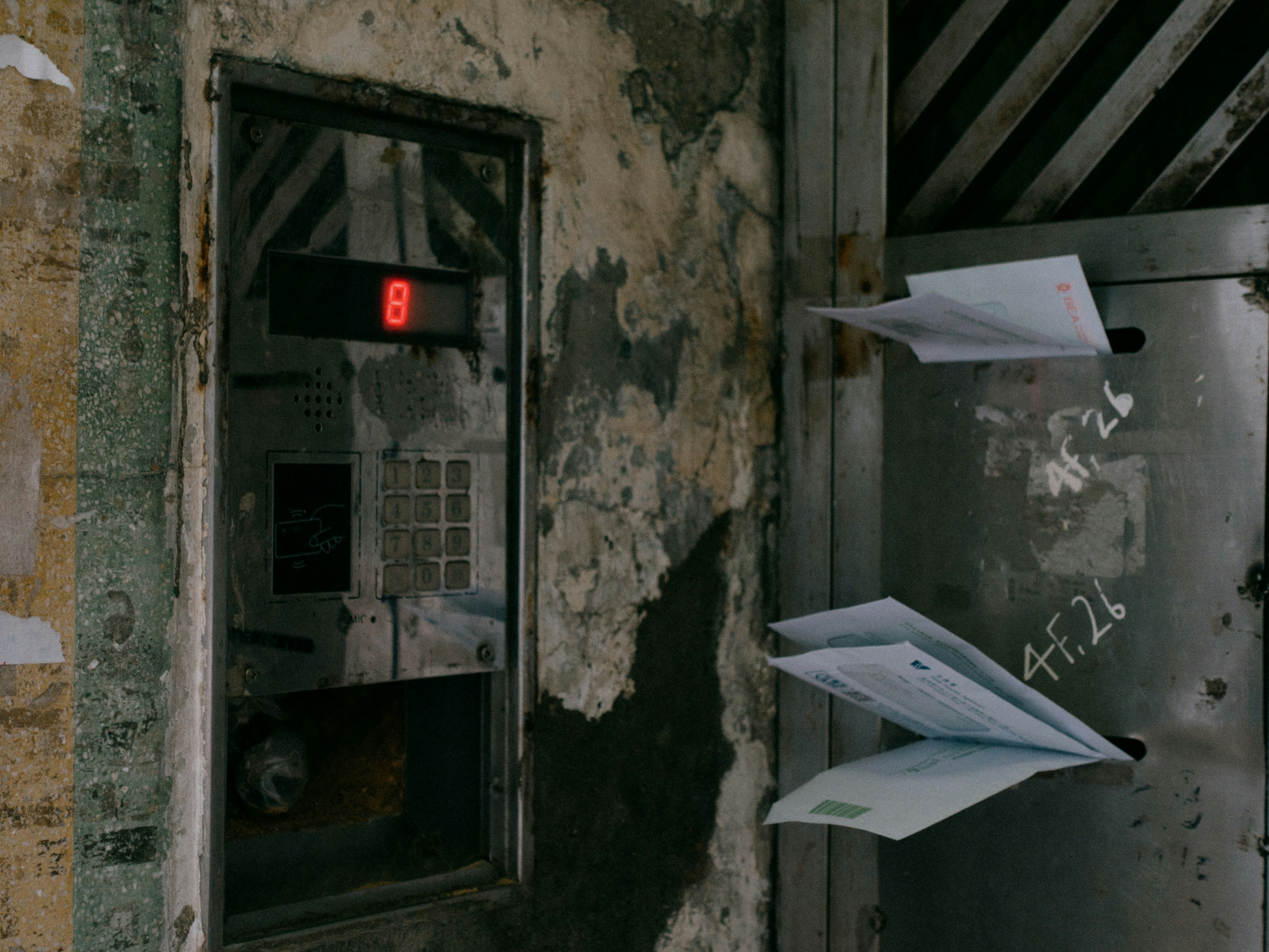 Photo by catgirlmutant