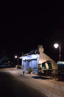 A quiet street at night with soft street lighting illuminating a small building with closed shutters and a tin roof. Several bicycles with green covers are parked nearby. A lone dog walks on the empty road, and some potted plants are placed in front of the building.