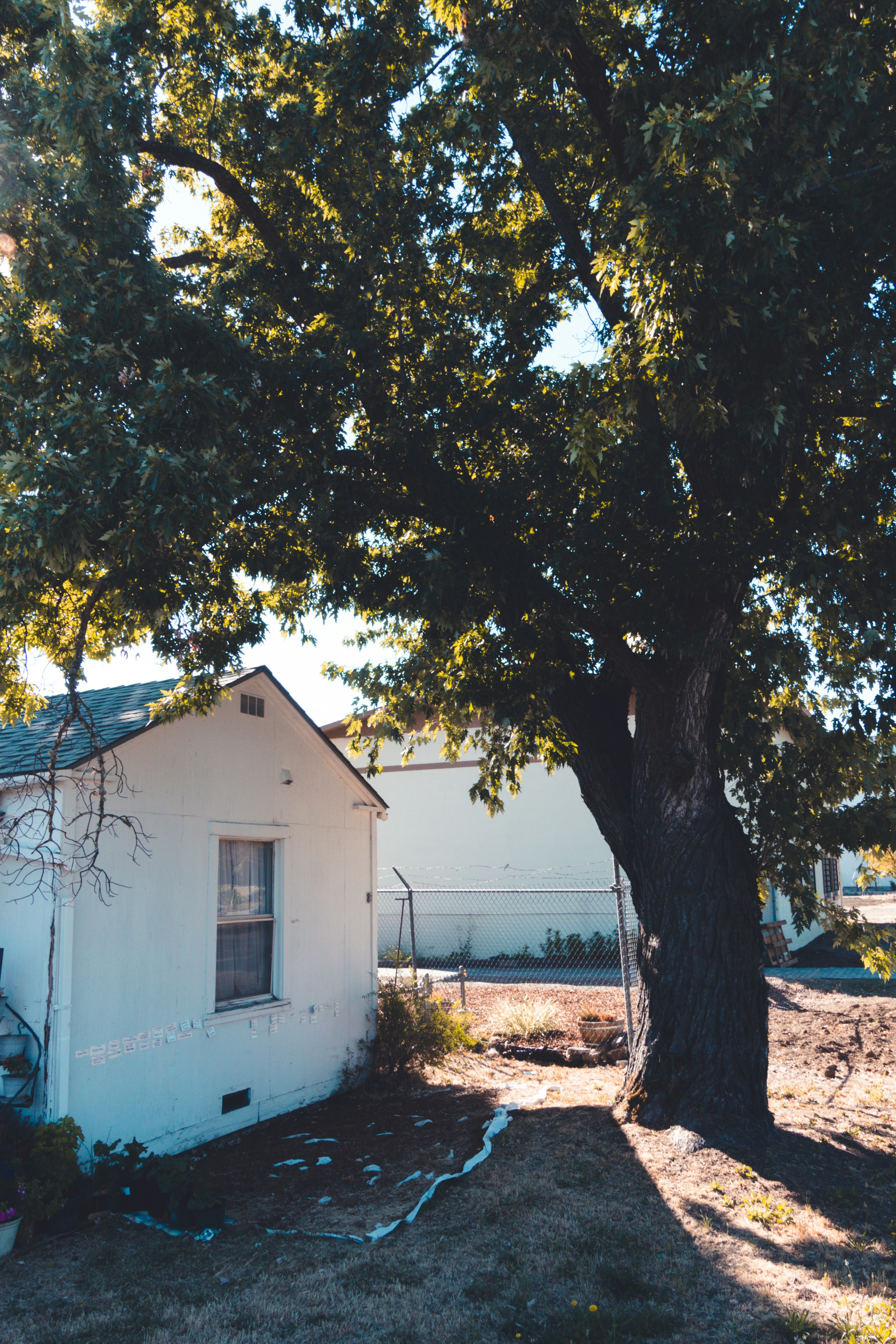 a small white house sitting next to a tree
