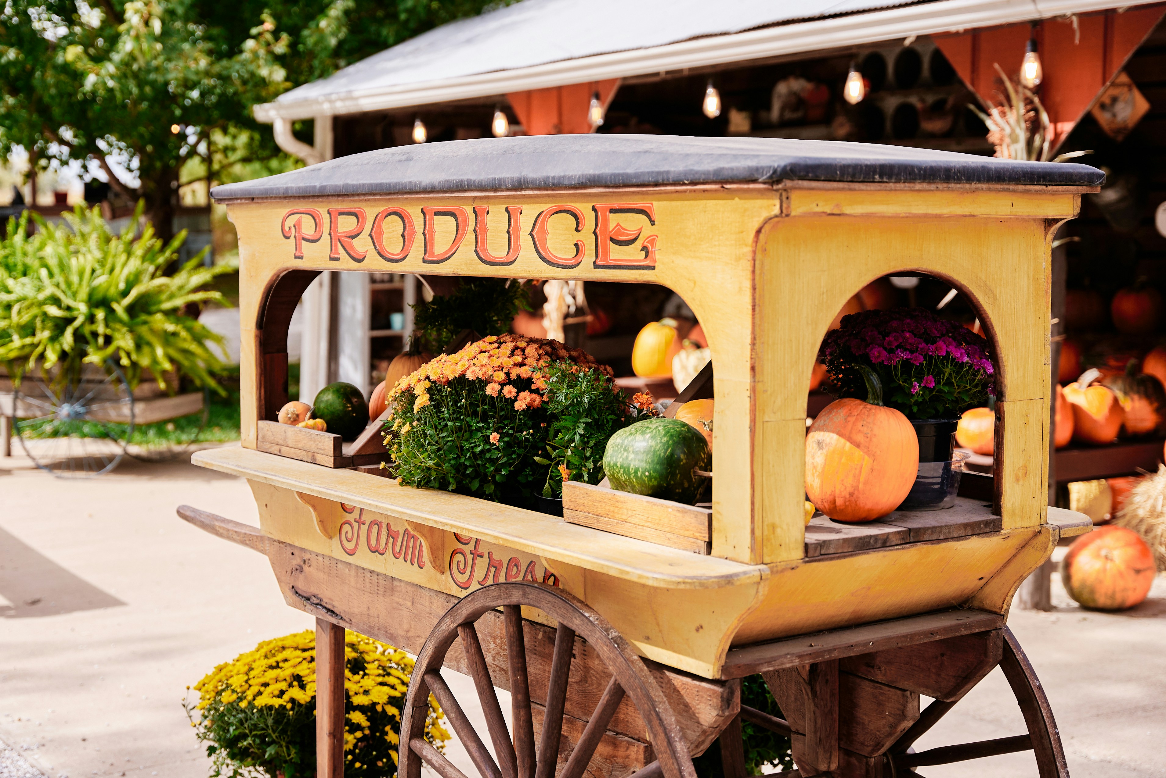 a fruit and vegetable cart with produce in it