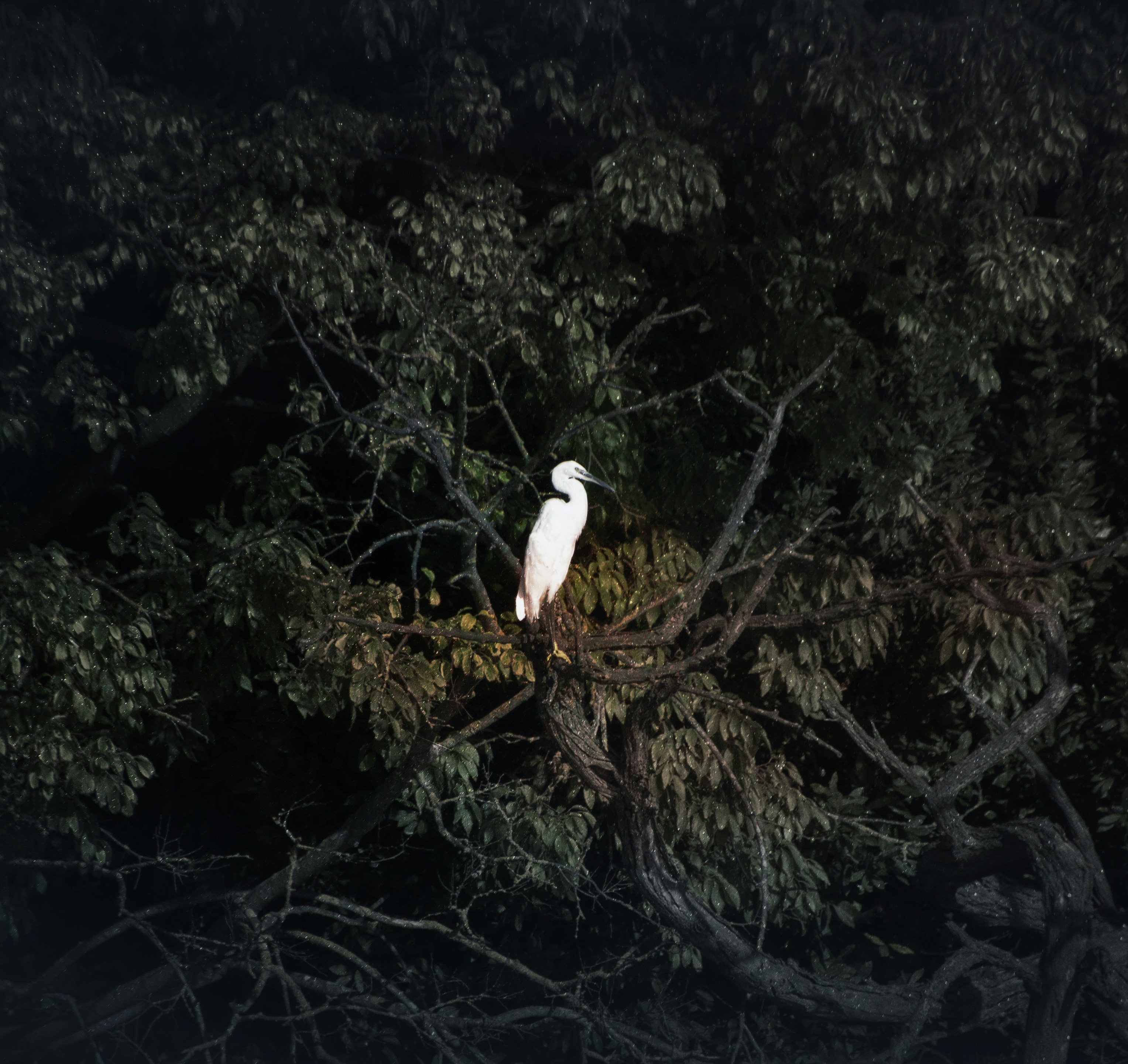 Photo by francescovinci