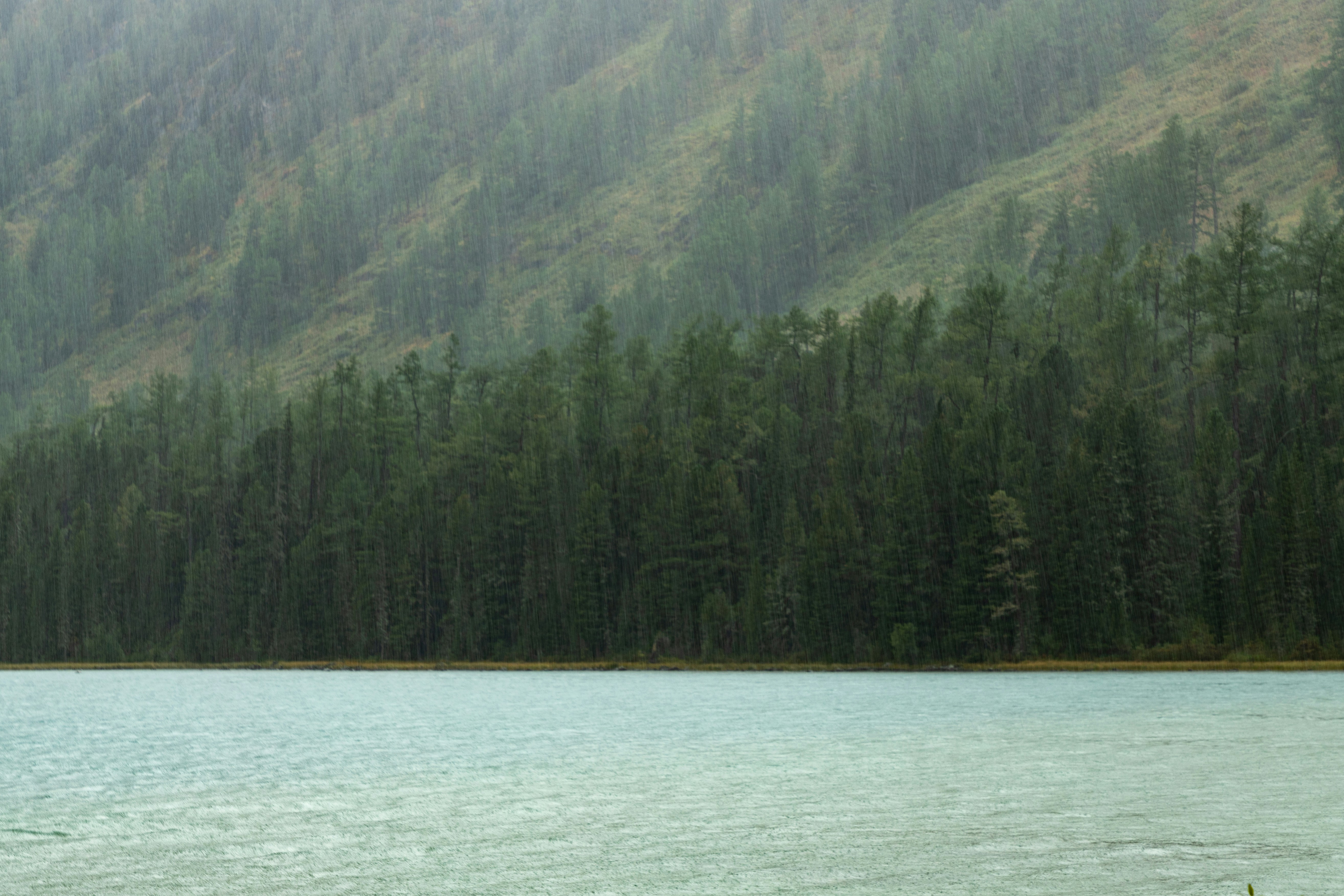 Photo by headofnarnia23