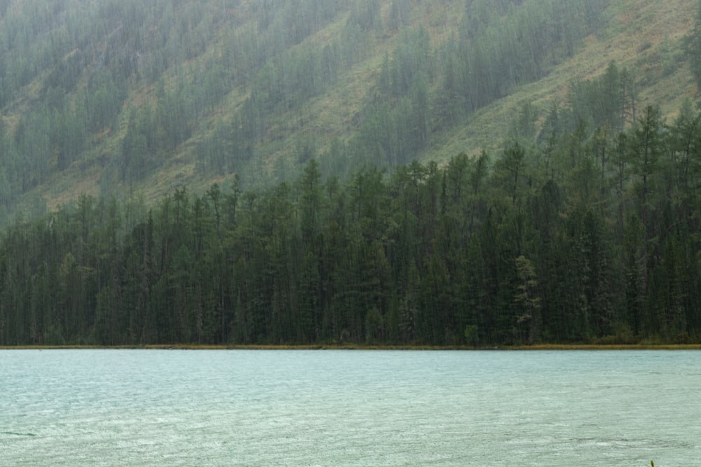 a boat floating on top of a lake next to a forest