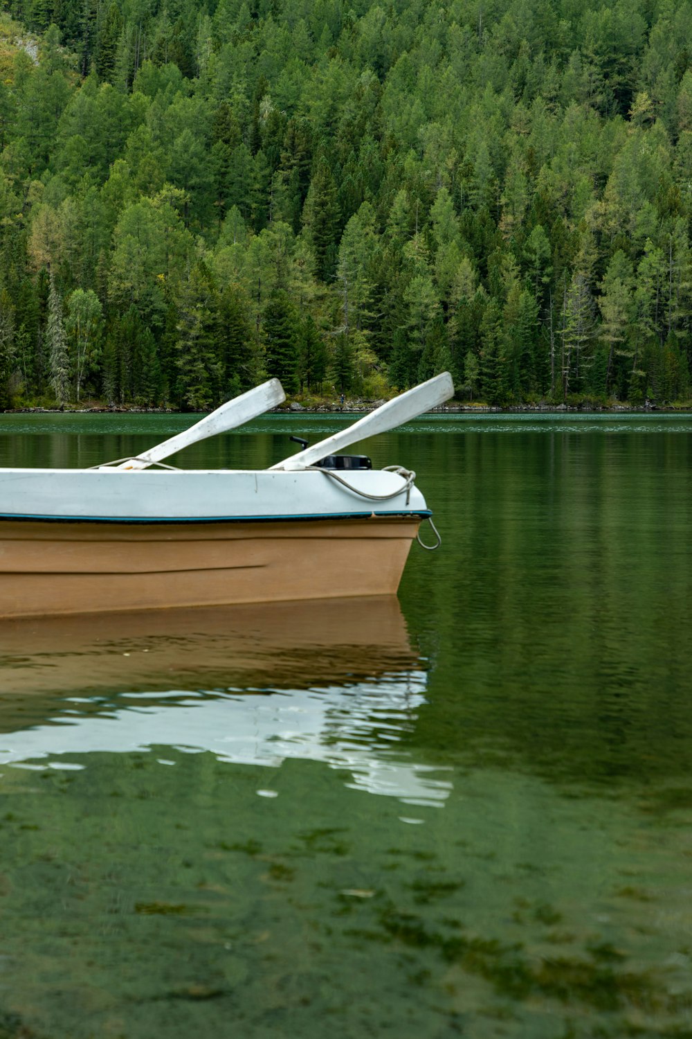 a small boat floating on top of a lake next to a forest