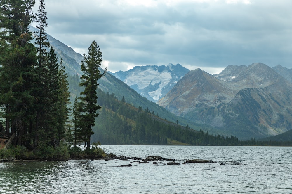 a body of water surrounded by mountains and trees