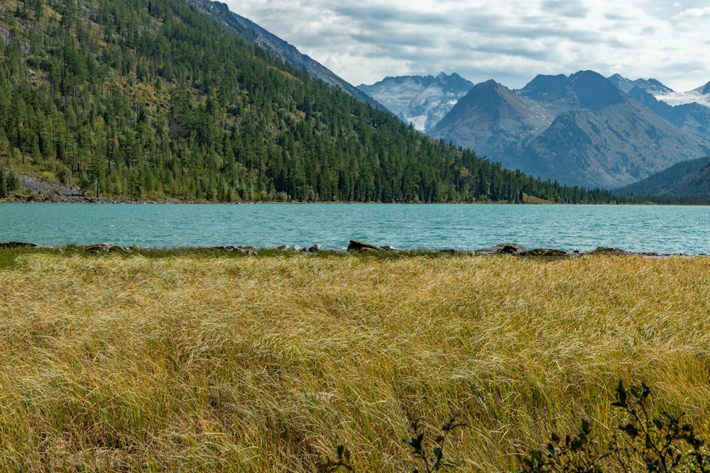 a large body of water surrounded by mountains