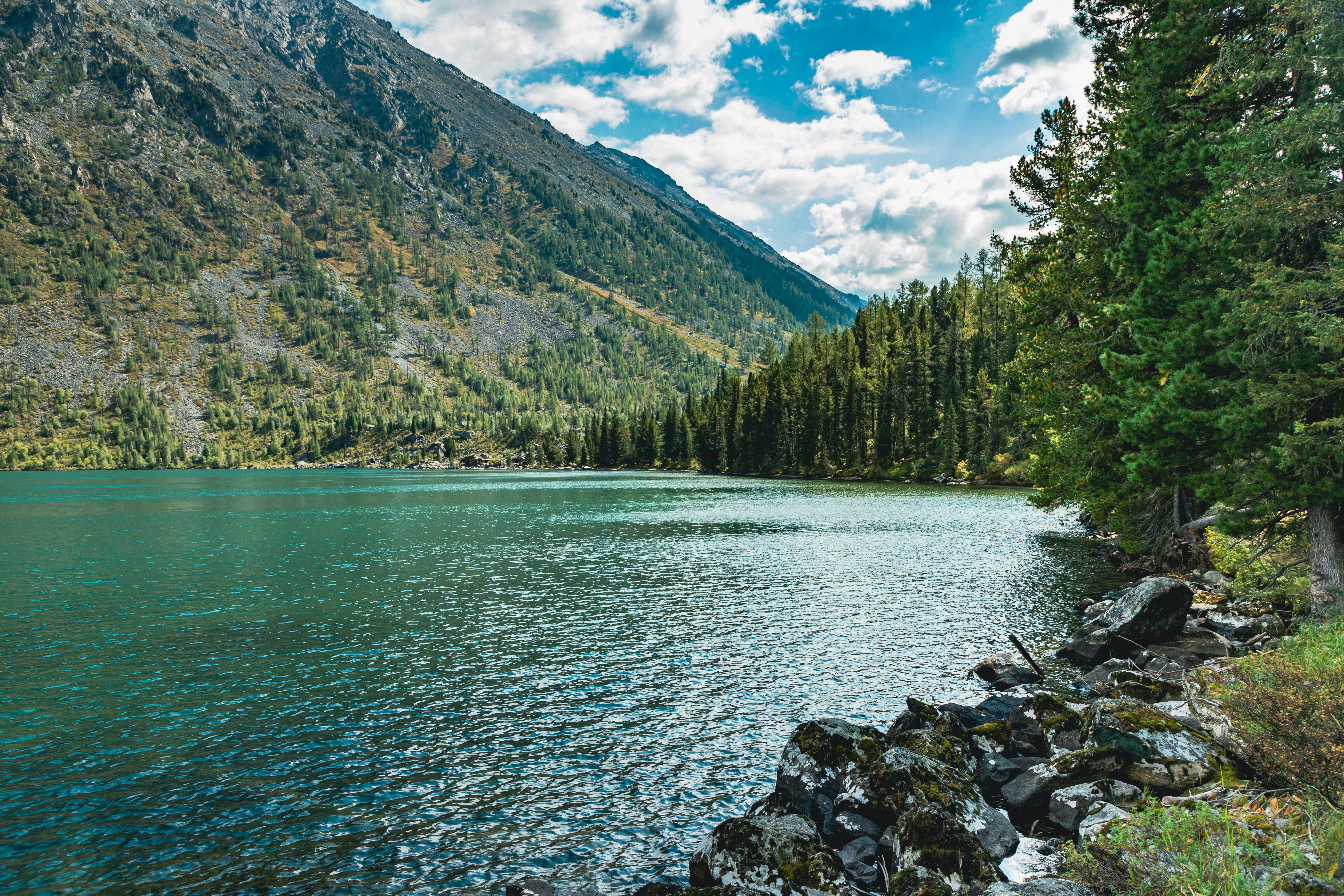 Photo by headofnarnia23