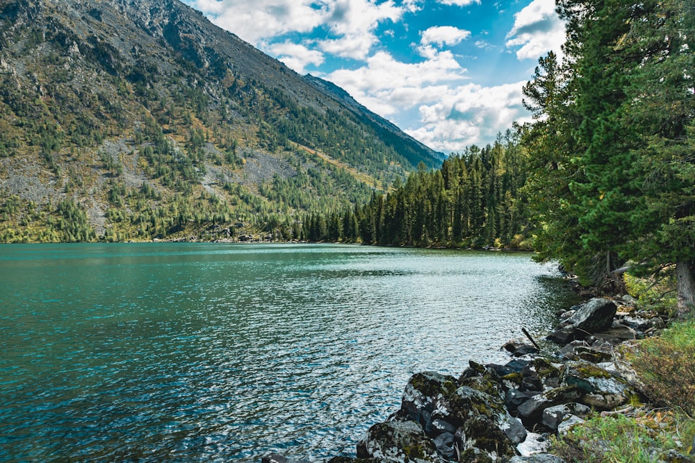 a large body of water surrounded by trees