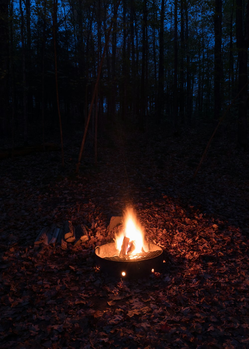 a campfire in the middle of a forest at night