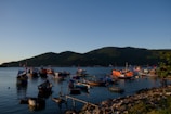 A tranquil scene of numerous fishing boats floating peacefully on calm waters, set against a backdrop of lush, green mountains under a clear blue sky. The boats vary in colors and sizes, with some displaying red flags, indicating a vibrant fishing community. The shoreline is rocky, with some wooden structures and debris visible in the foreground.