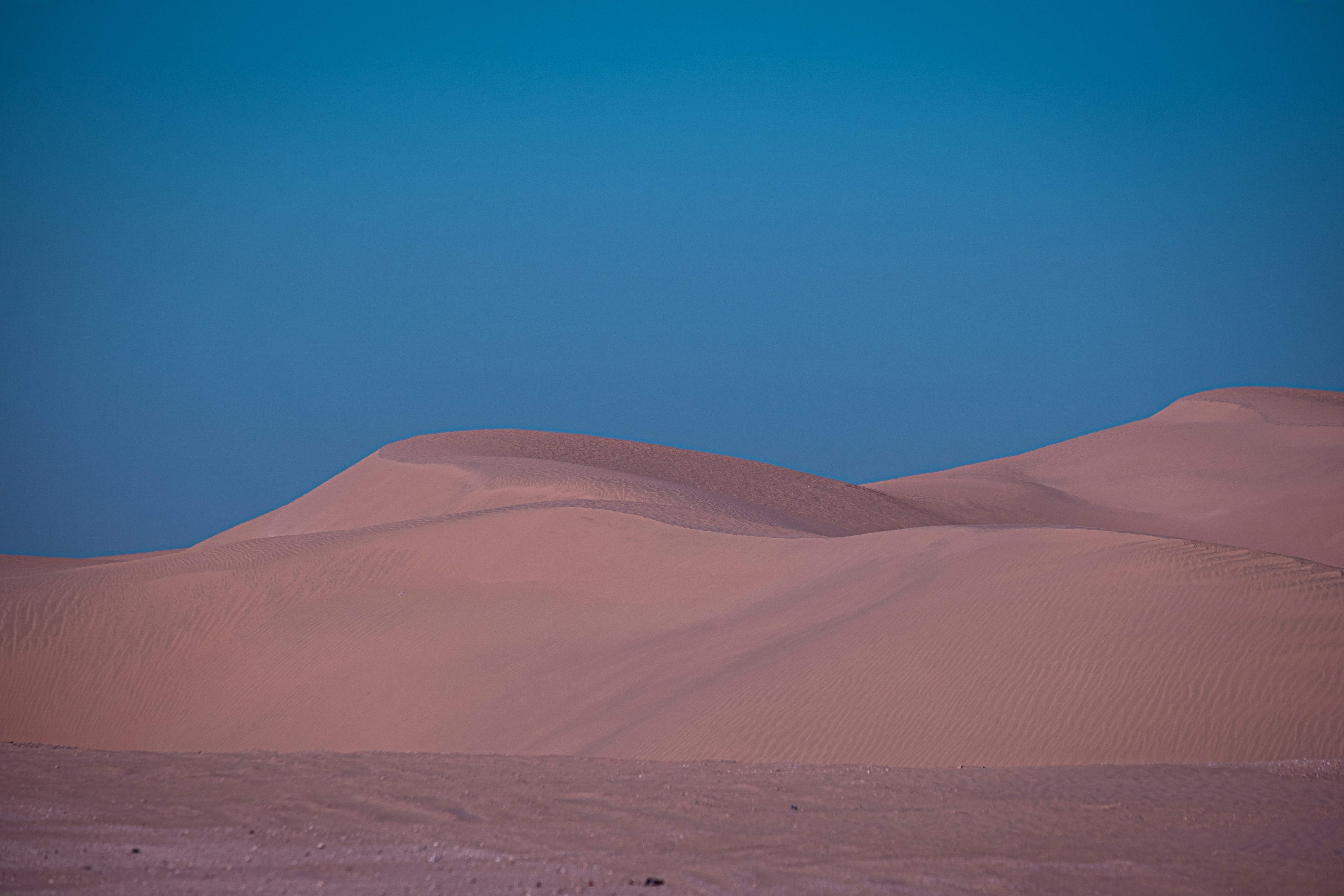 Photo by mo_design_3d