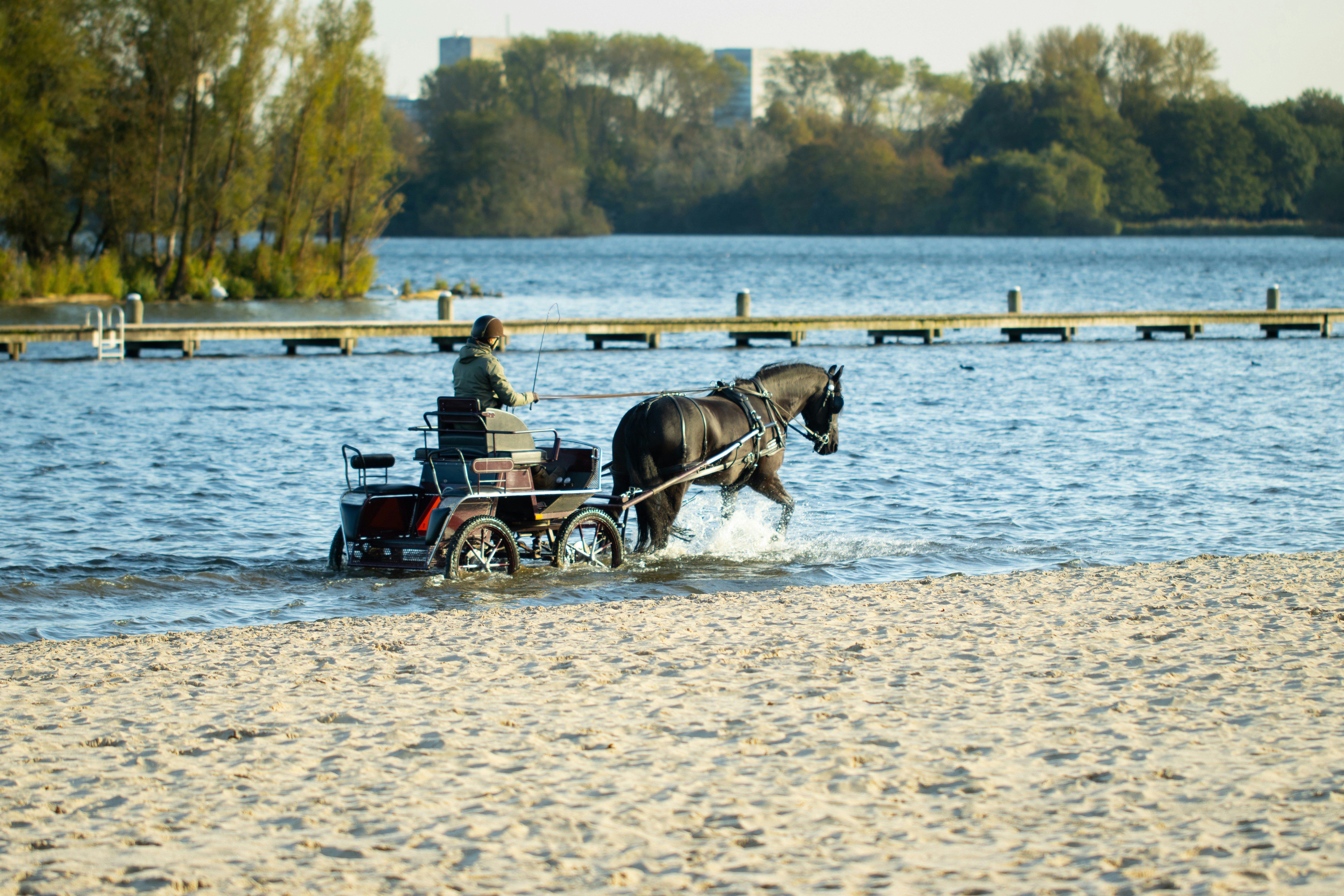 a man riding a horse drawn carriage across a lake