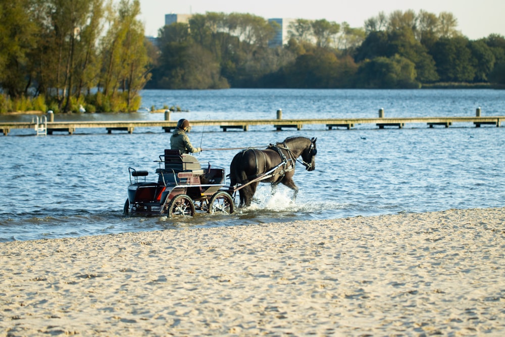 a man riding a horse drawn carriage across a lake