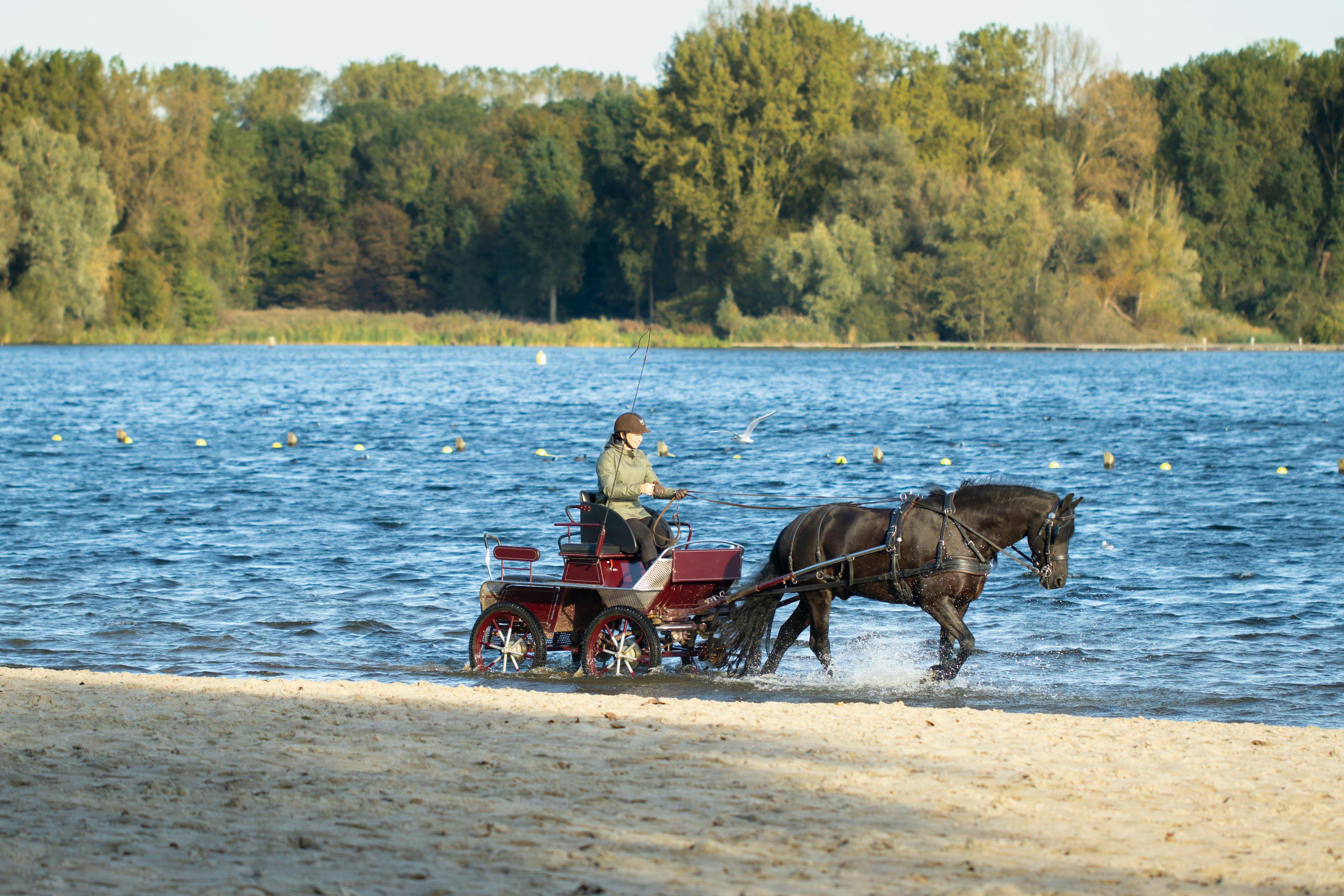 a man riding on the back of a horse drawn carriage