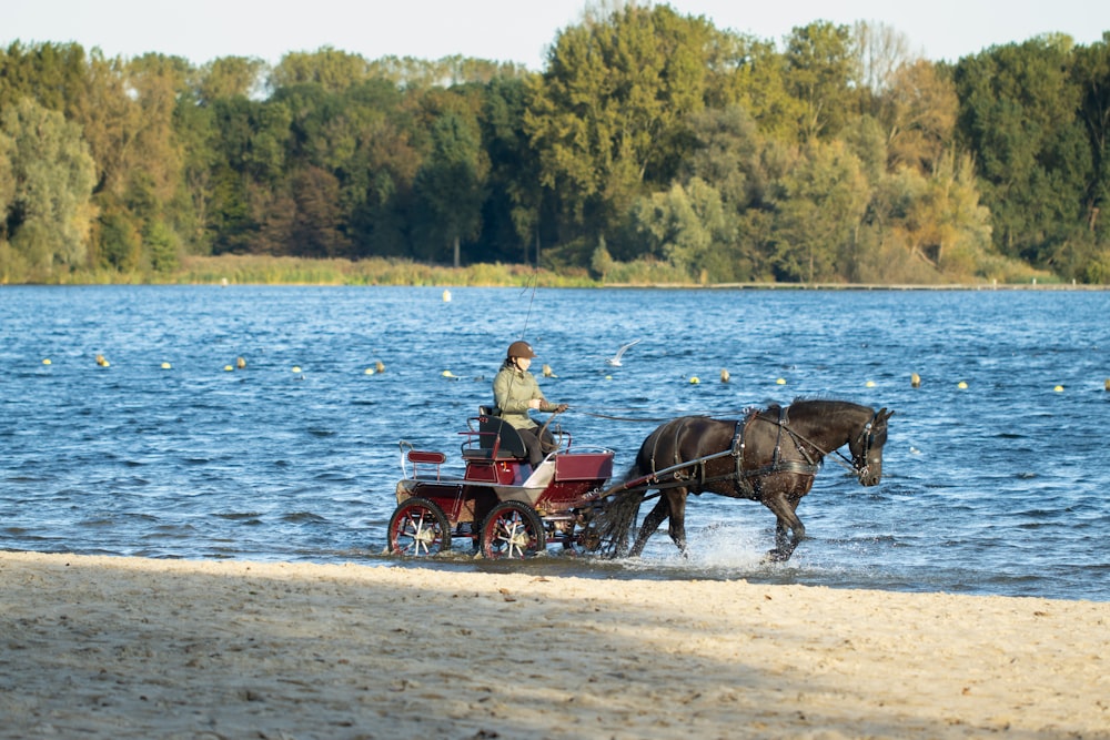 a man riding on the back of a horse drawn carriage