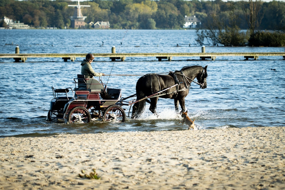 a man riding a horse drawn carriage across a lake