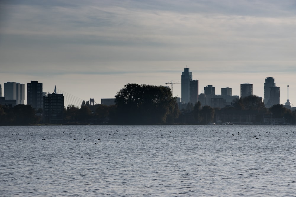 a large body of water with a city in the background