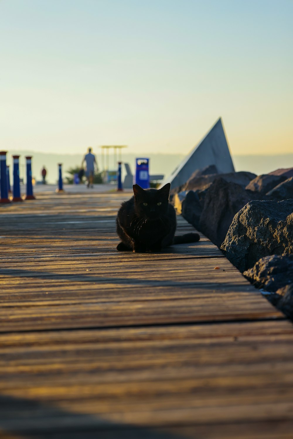 a black cat sitting on a wooden dock