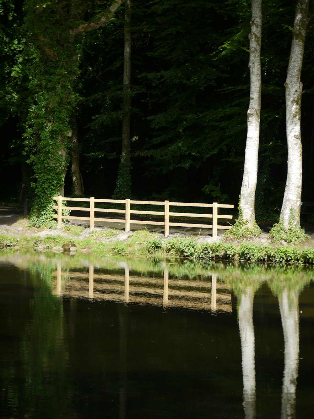 a wooden bench sitting next to a body of water