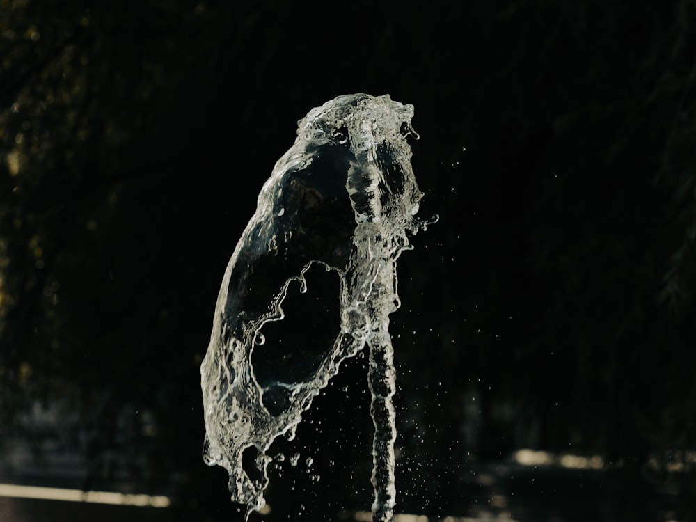 a water fountain spewing out of it's side