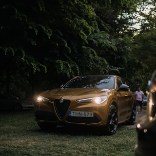 A gold-colored car with its headlights on is parked on a grassy area, surrounded by dense greenery. The setting appears to be a park, with trees covering the background and a person walking in the distance.