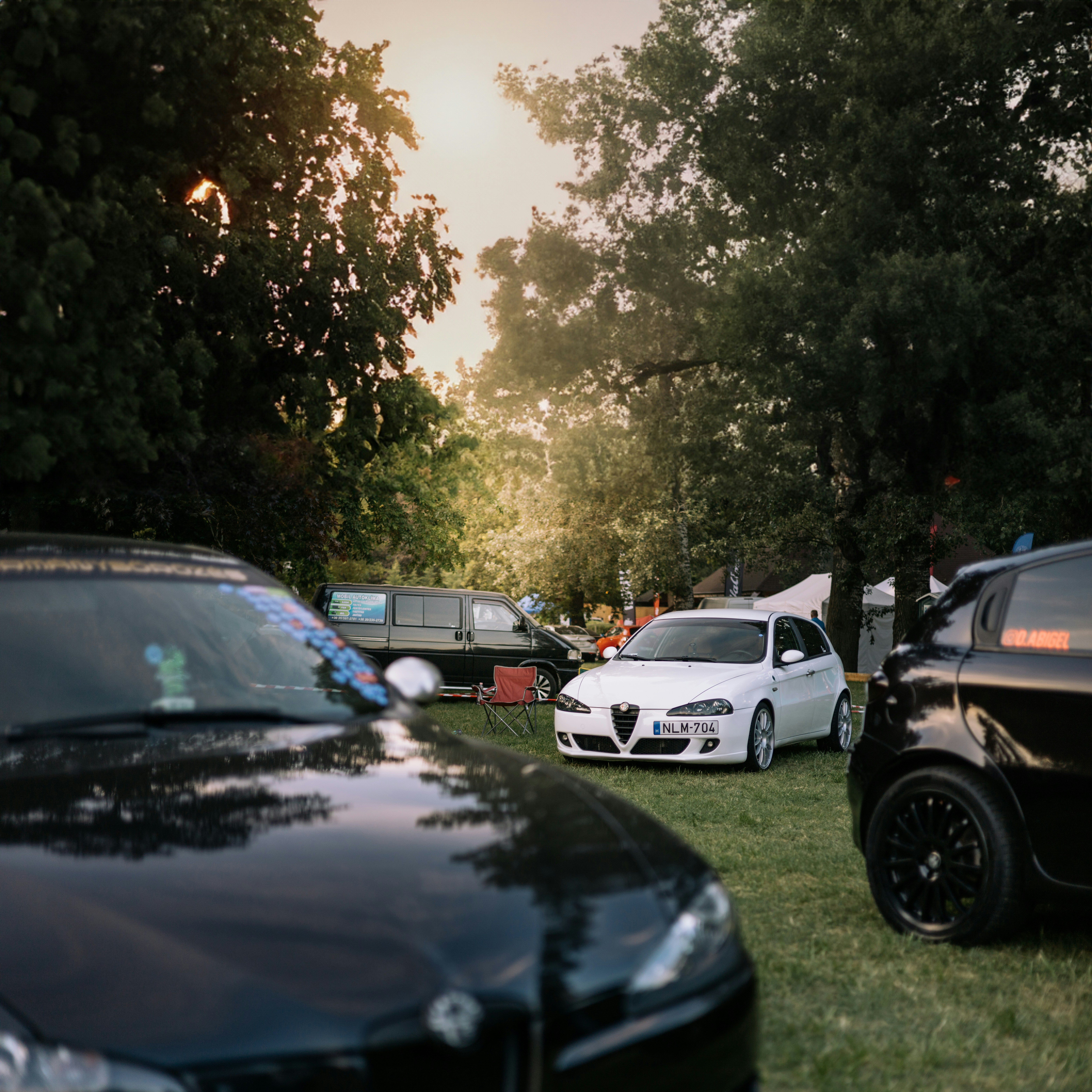 Un par de coches aparcados uno al lado del otro en un exuberante campo verde