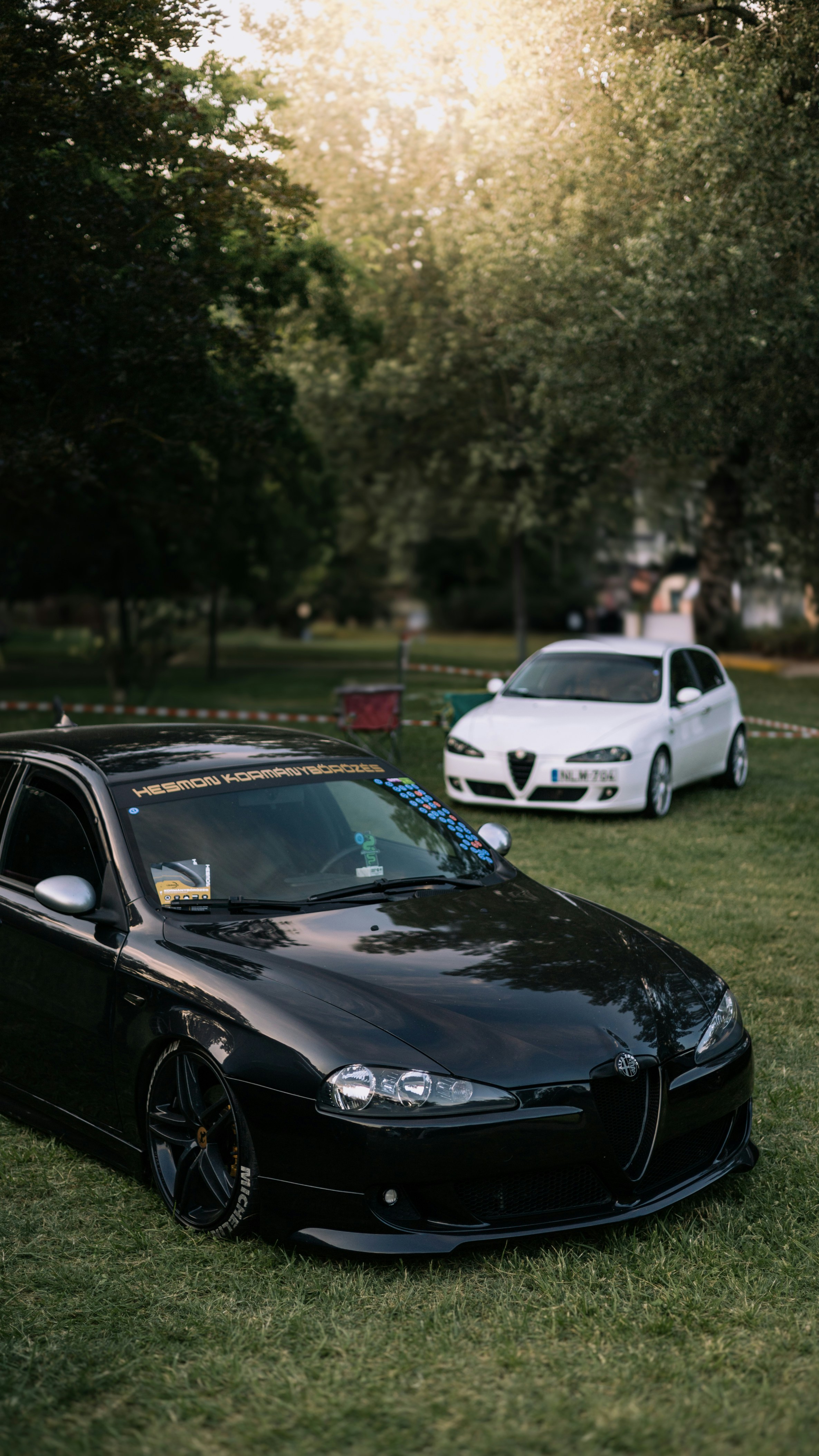 Un coche negro aparcado en la hierba junto a un coche blanco