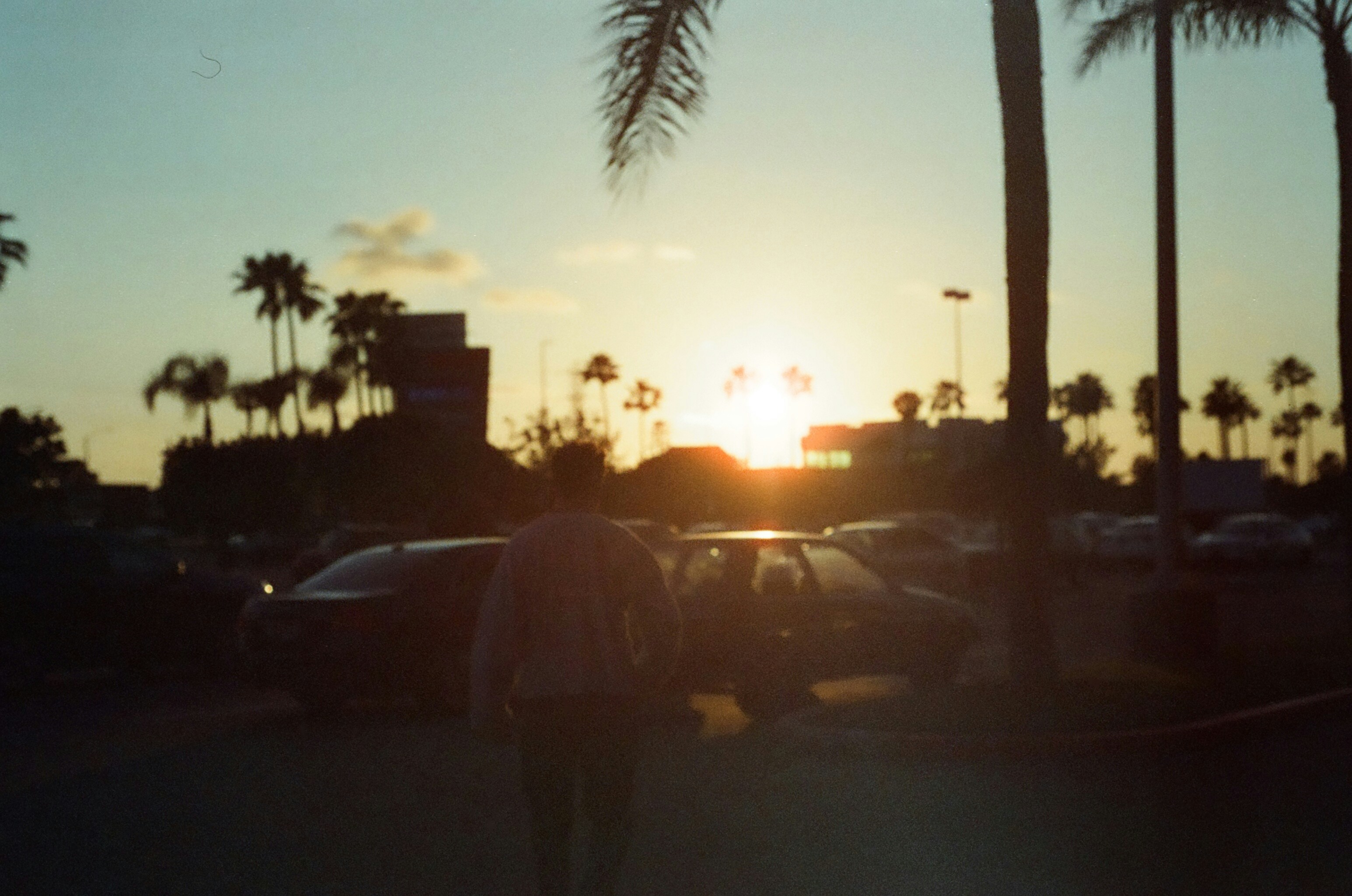 Photo by sashamatveeva