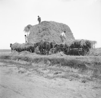 Family members working together loading round bales onto a trailer.