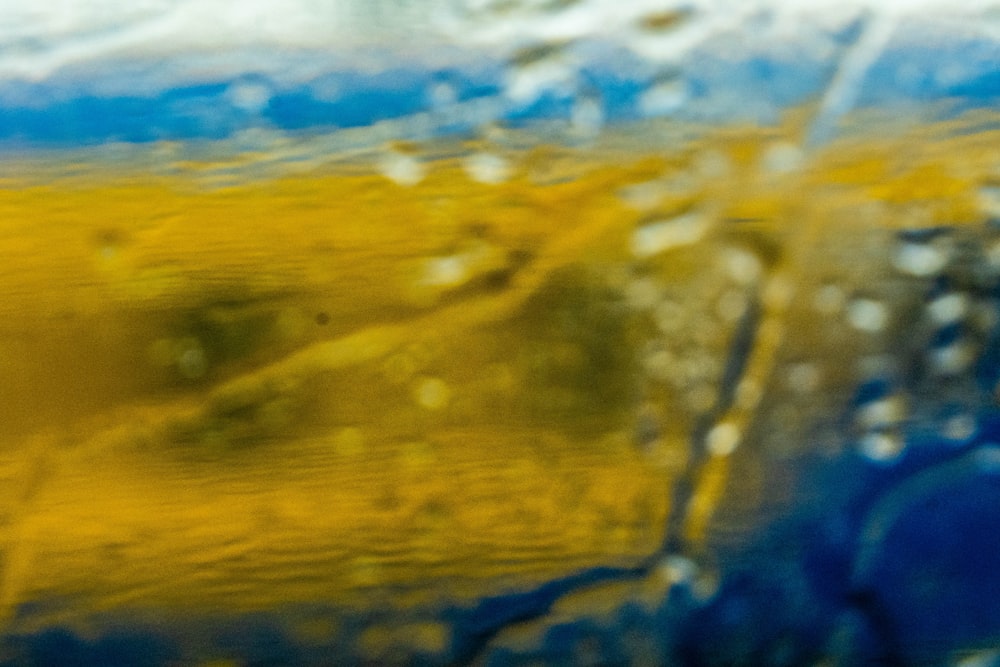 a close up of a yellow and blue object