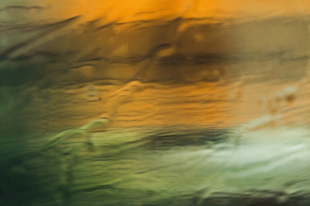 a blurry image of a bird flying over a body of water