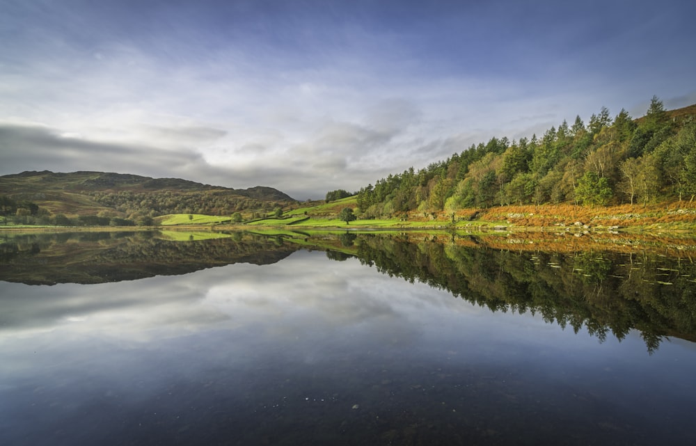 a body of water surrounded by a forest