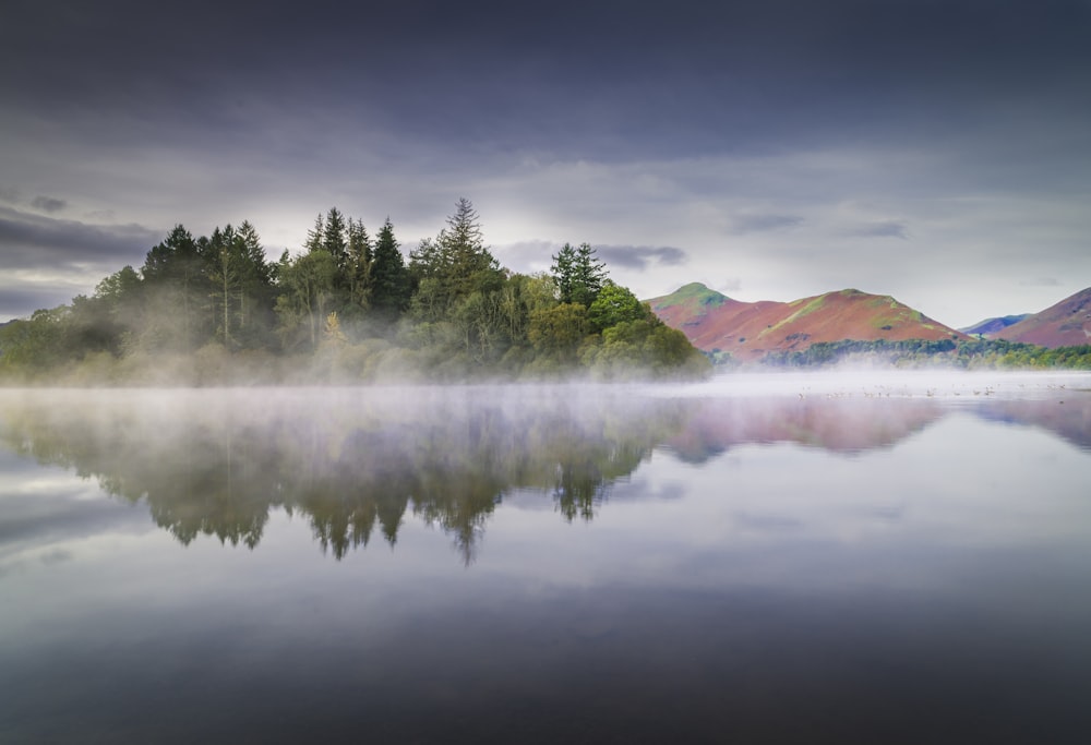 a body of water surrounded by trees on a cloudy day