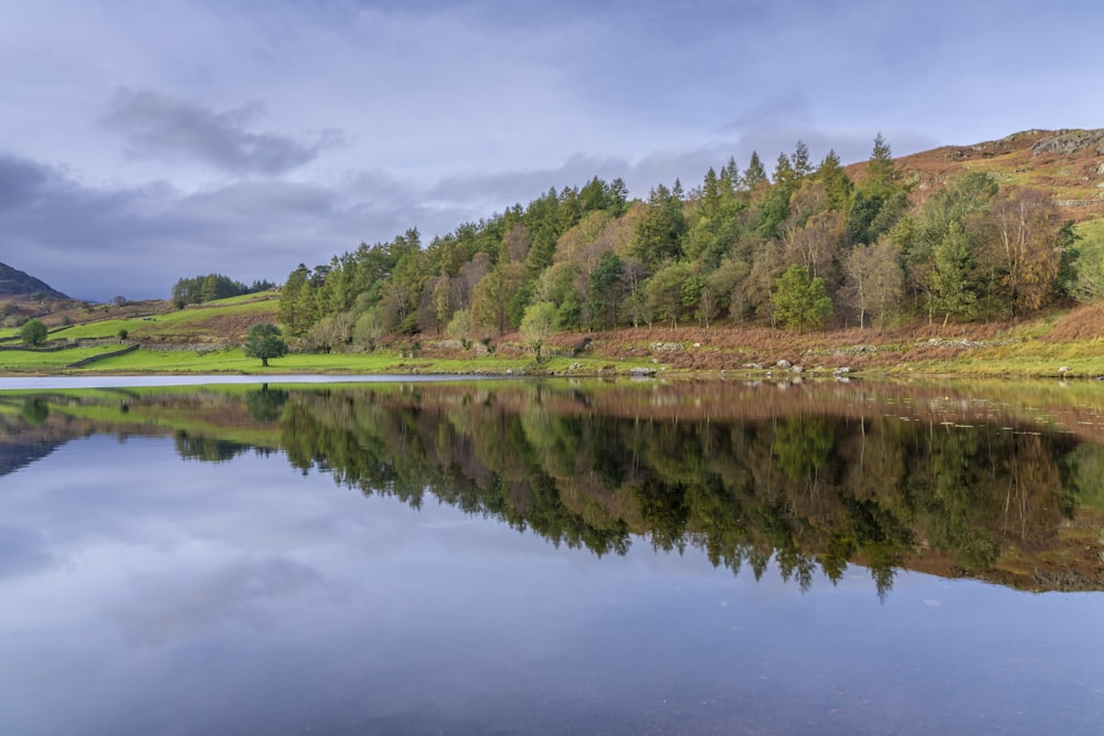 a large body of water surrounded by trees