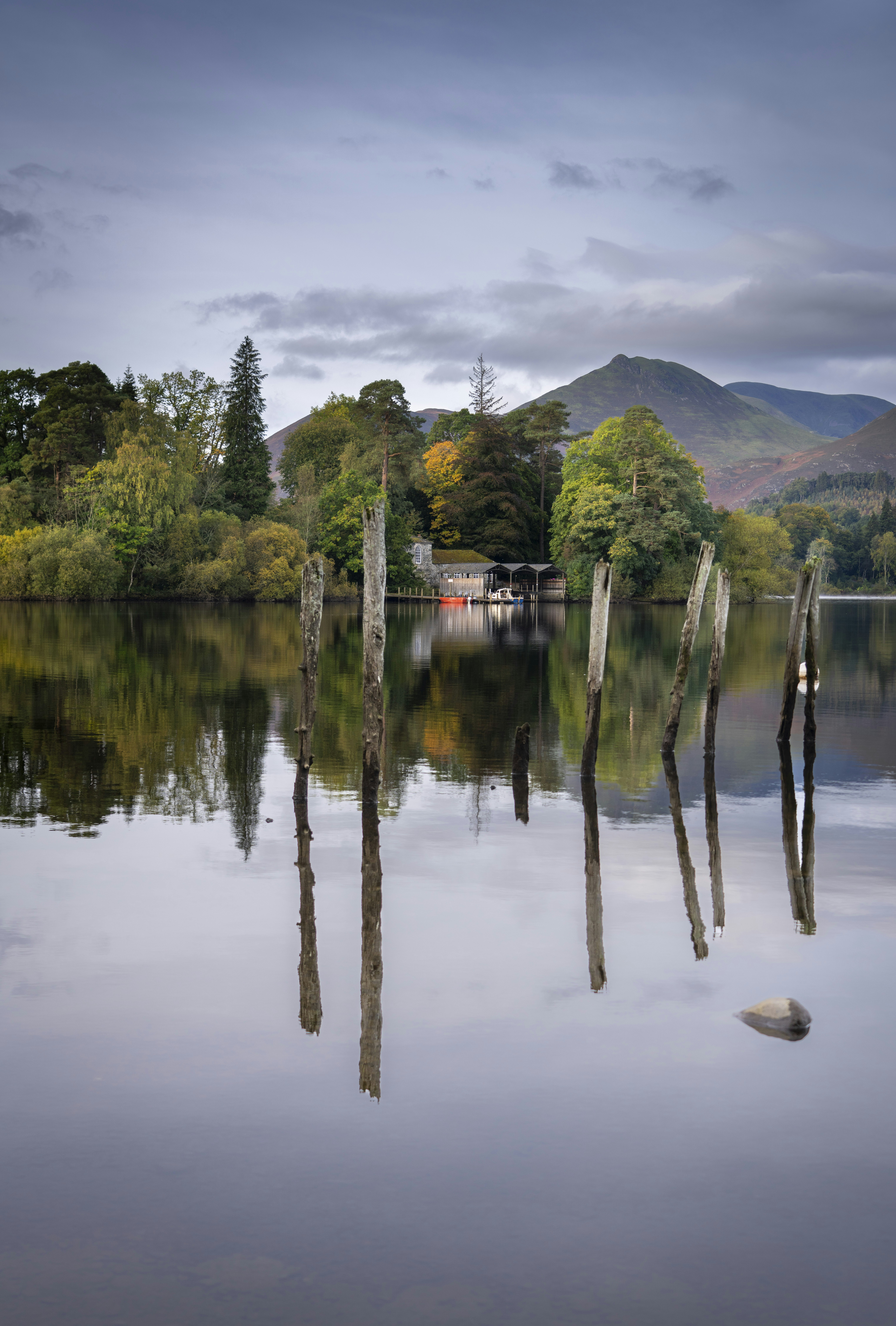 a body of water with trees and mountains in the background