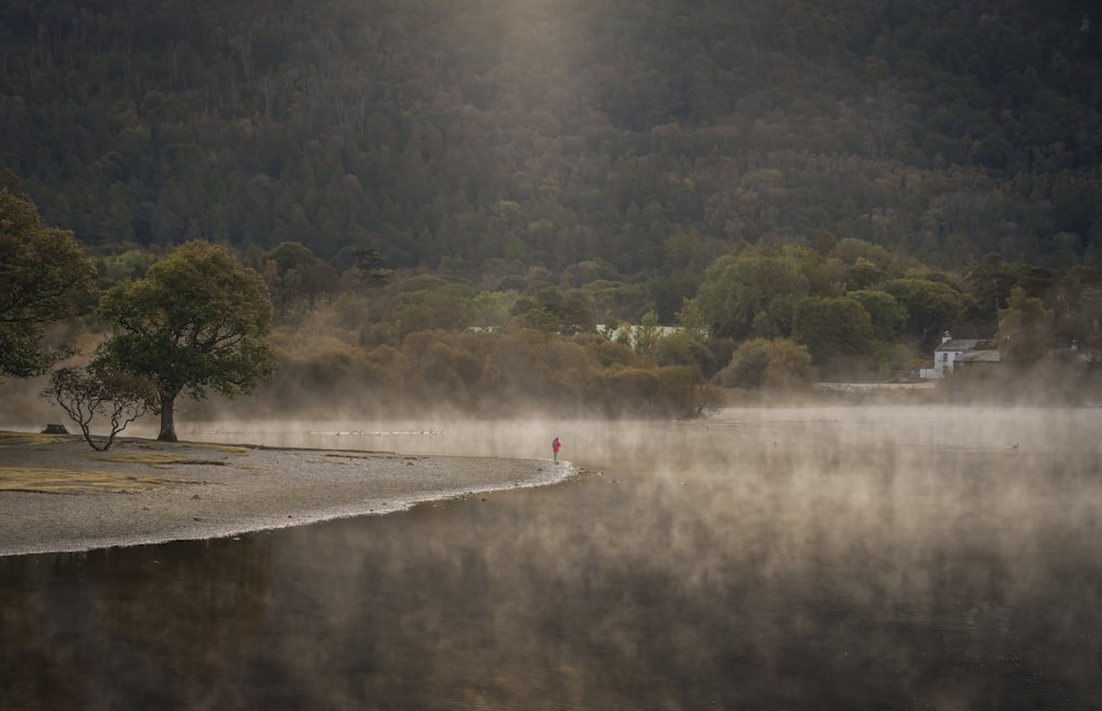 un lago nebbioso con un albero solitario in primo piano