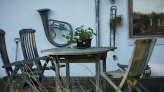 A rustic outdoor setting features a wooden table and chairs on a patio. On the white wall hangs a large brass wind instrument, resembling a tuba or sousaphone. A potted plant sits on the table, and another plant is affixed to the wall nearby. The scene is complemented by a window reflecting a wooded area and a background of natural elements like grass and a small lantern.