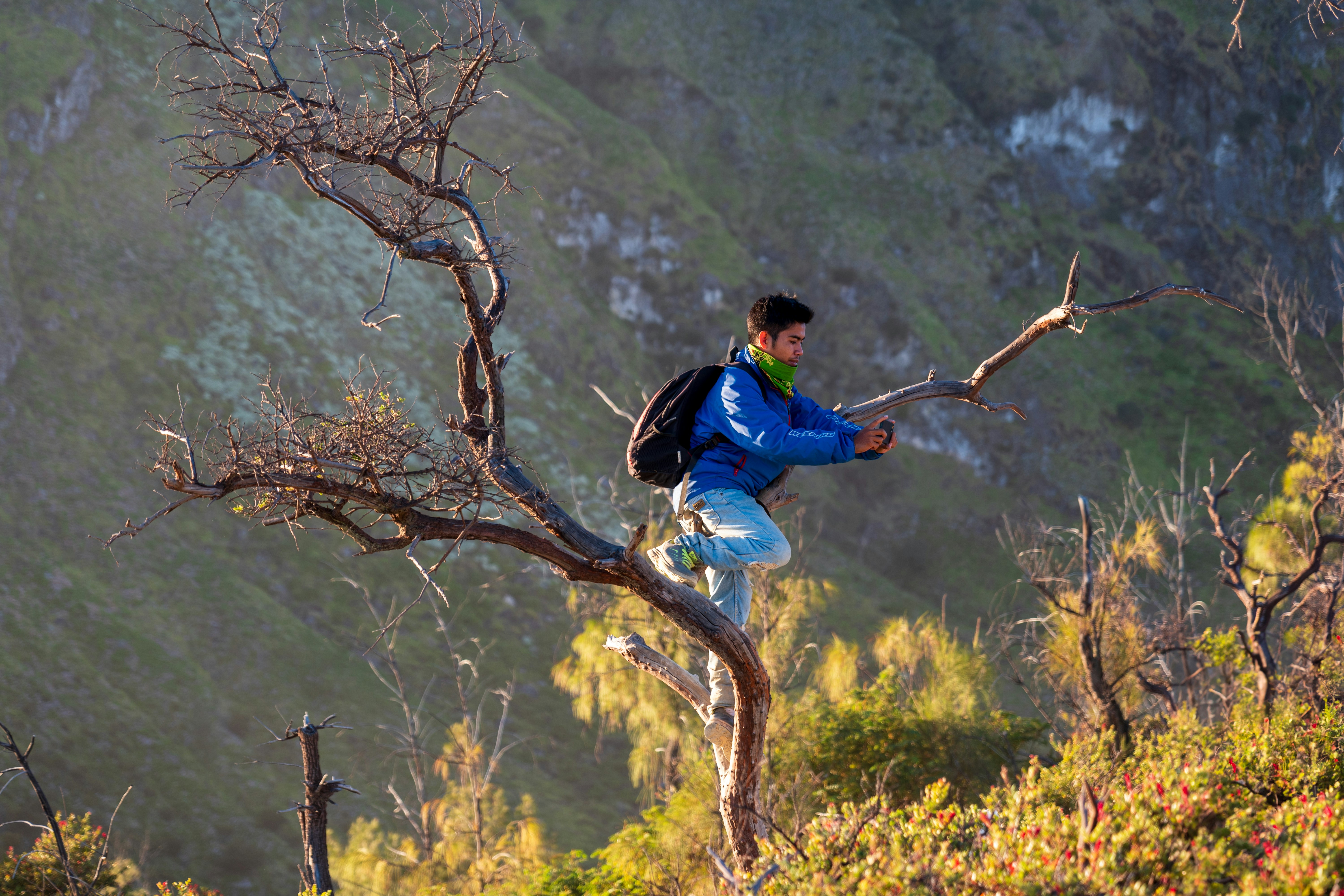 Man on tree branch