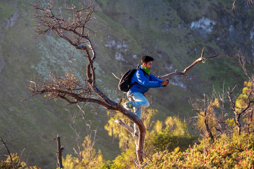 バックパックを背負って木の枝に立つ男
