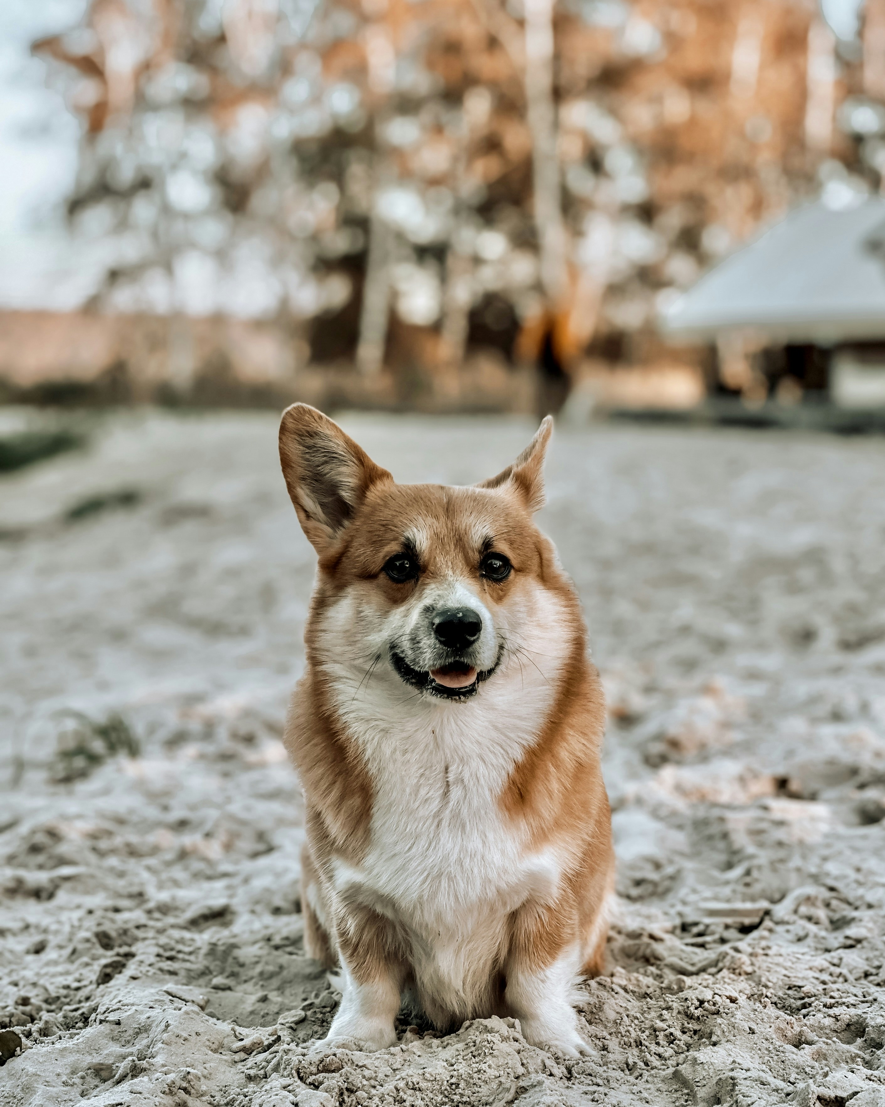 Photo by bkozlovskyi