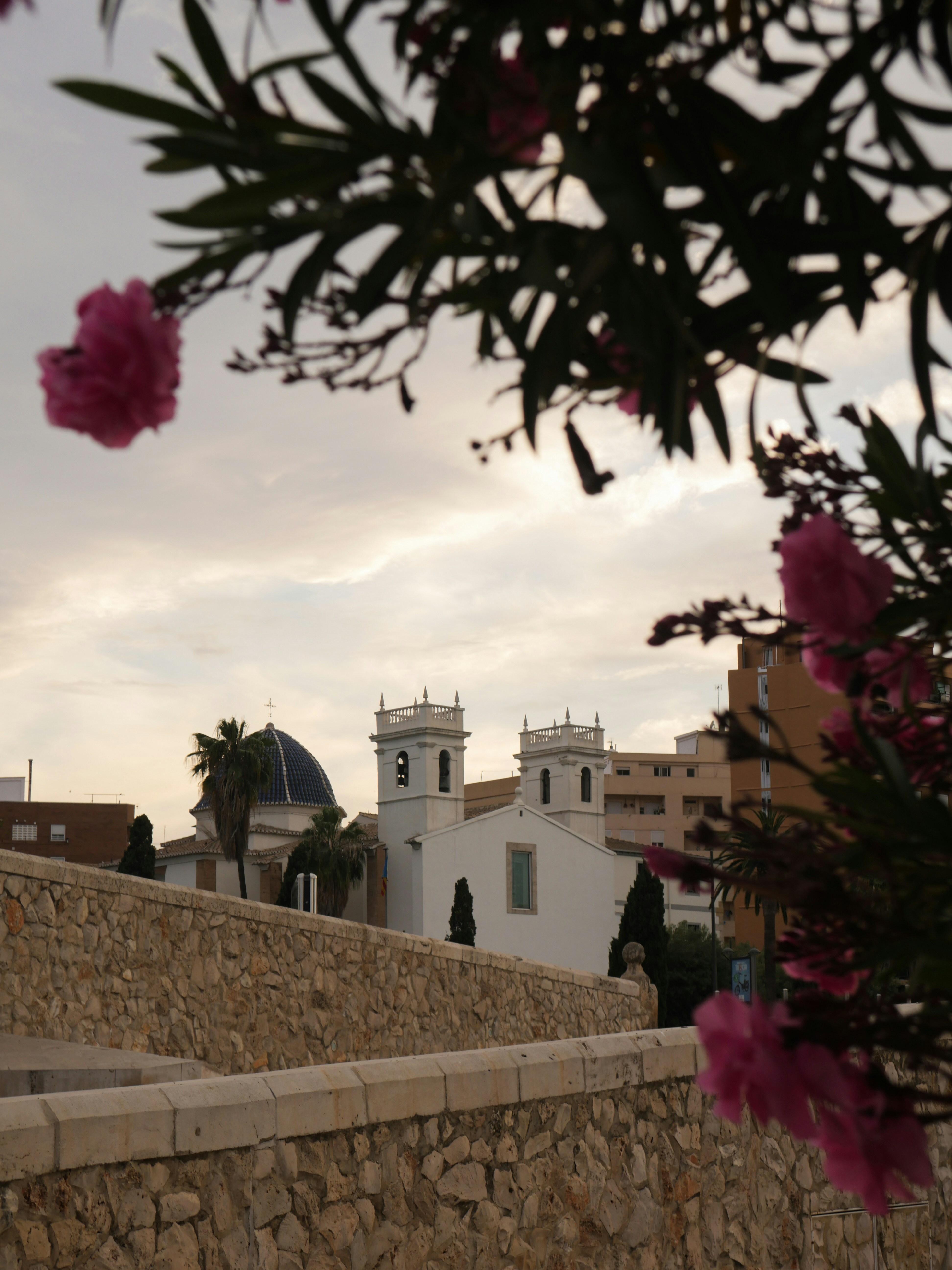 Photo by voznyukanna