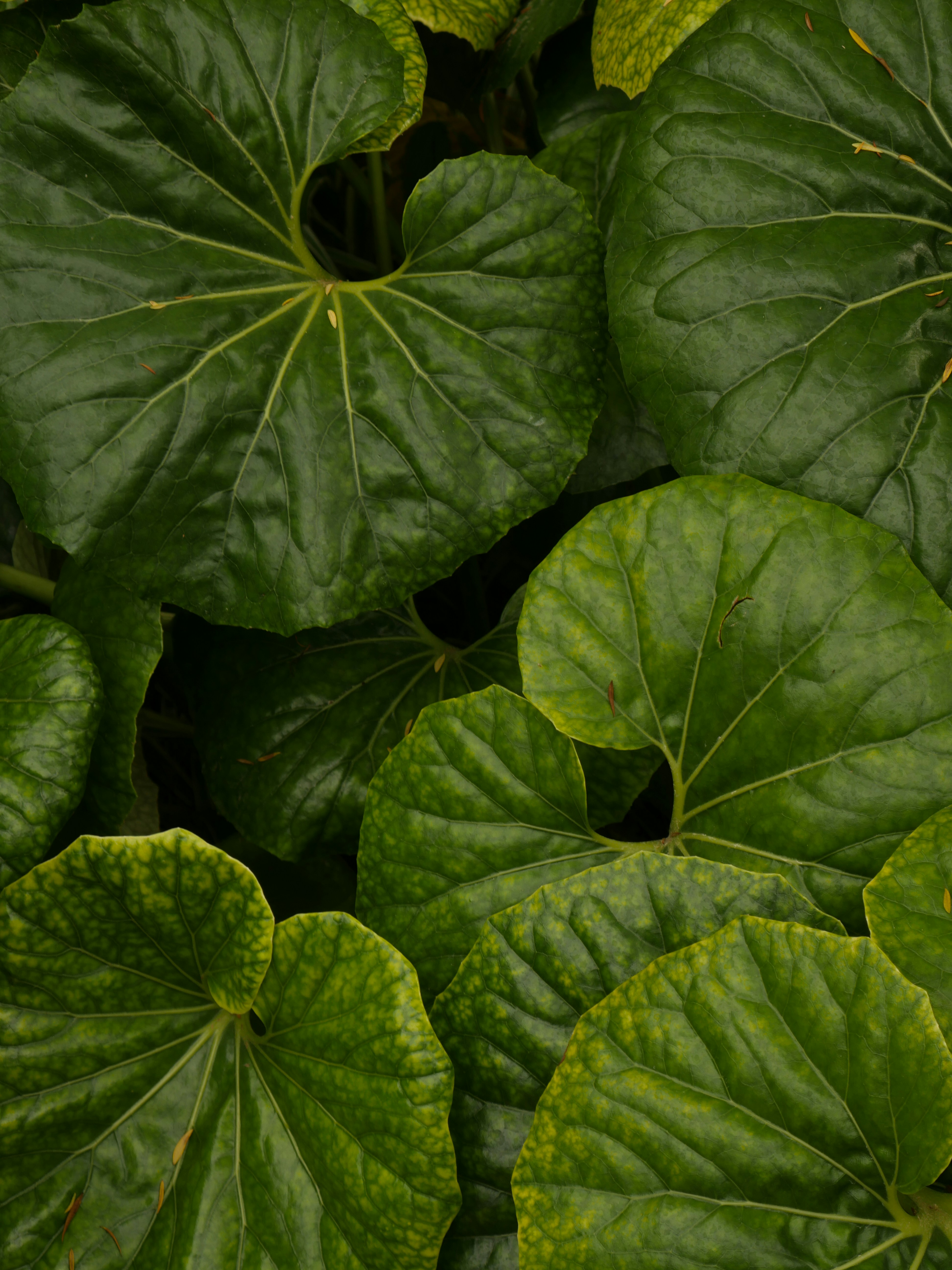 Photo by voznyukanna