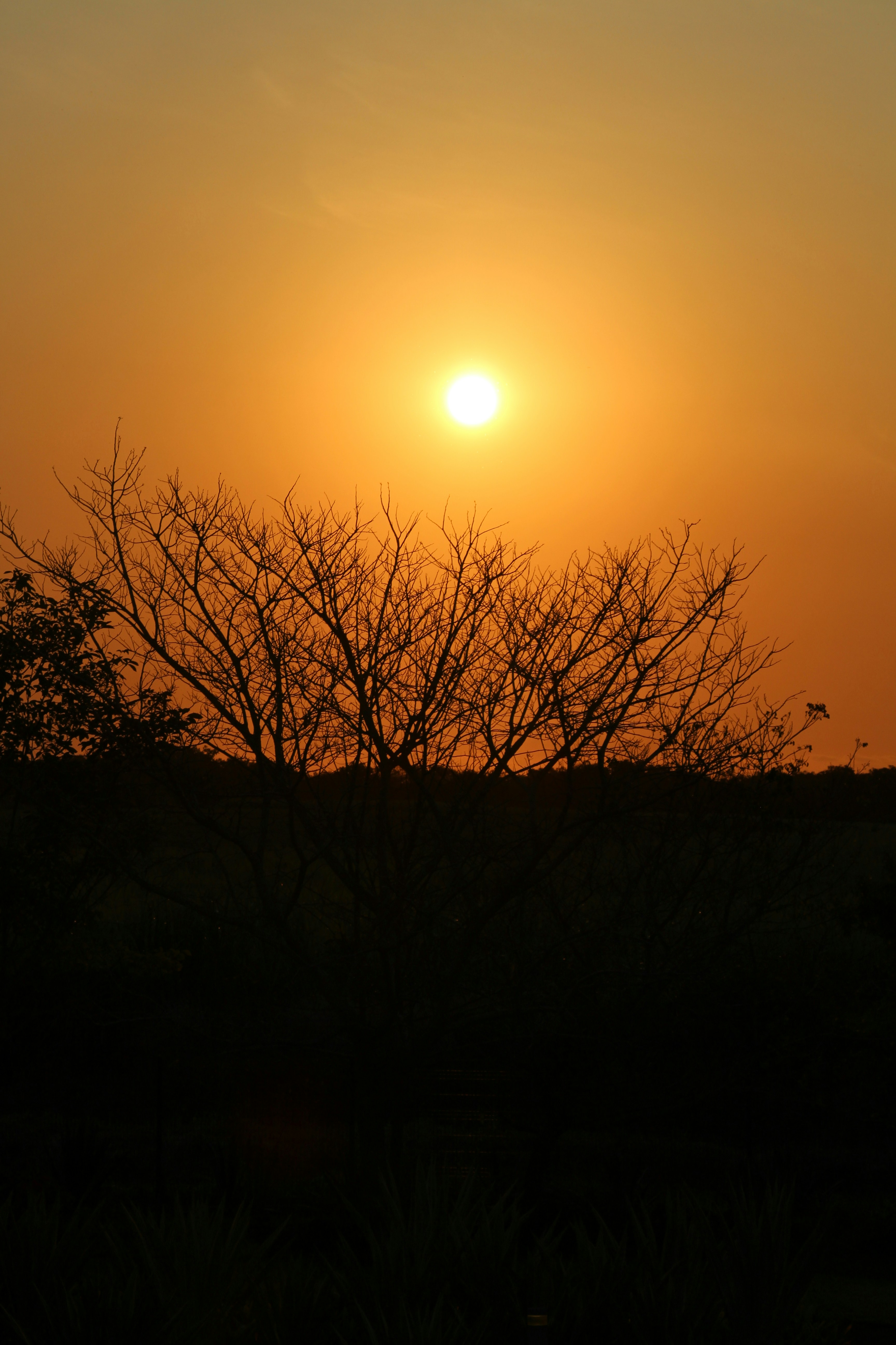 Photo by langatkevin