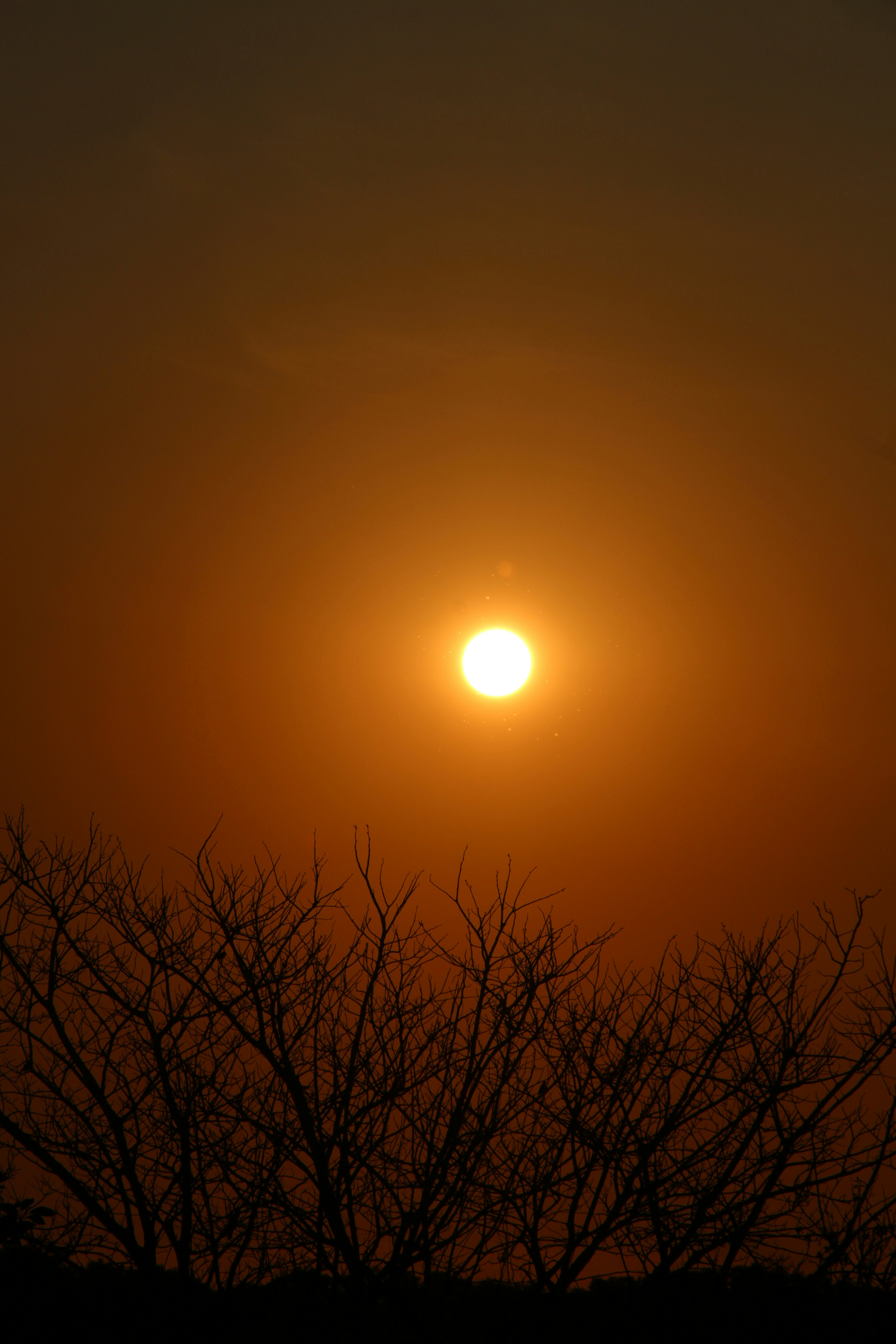 Photo by langatkevin